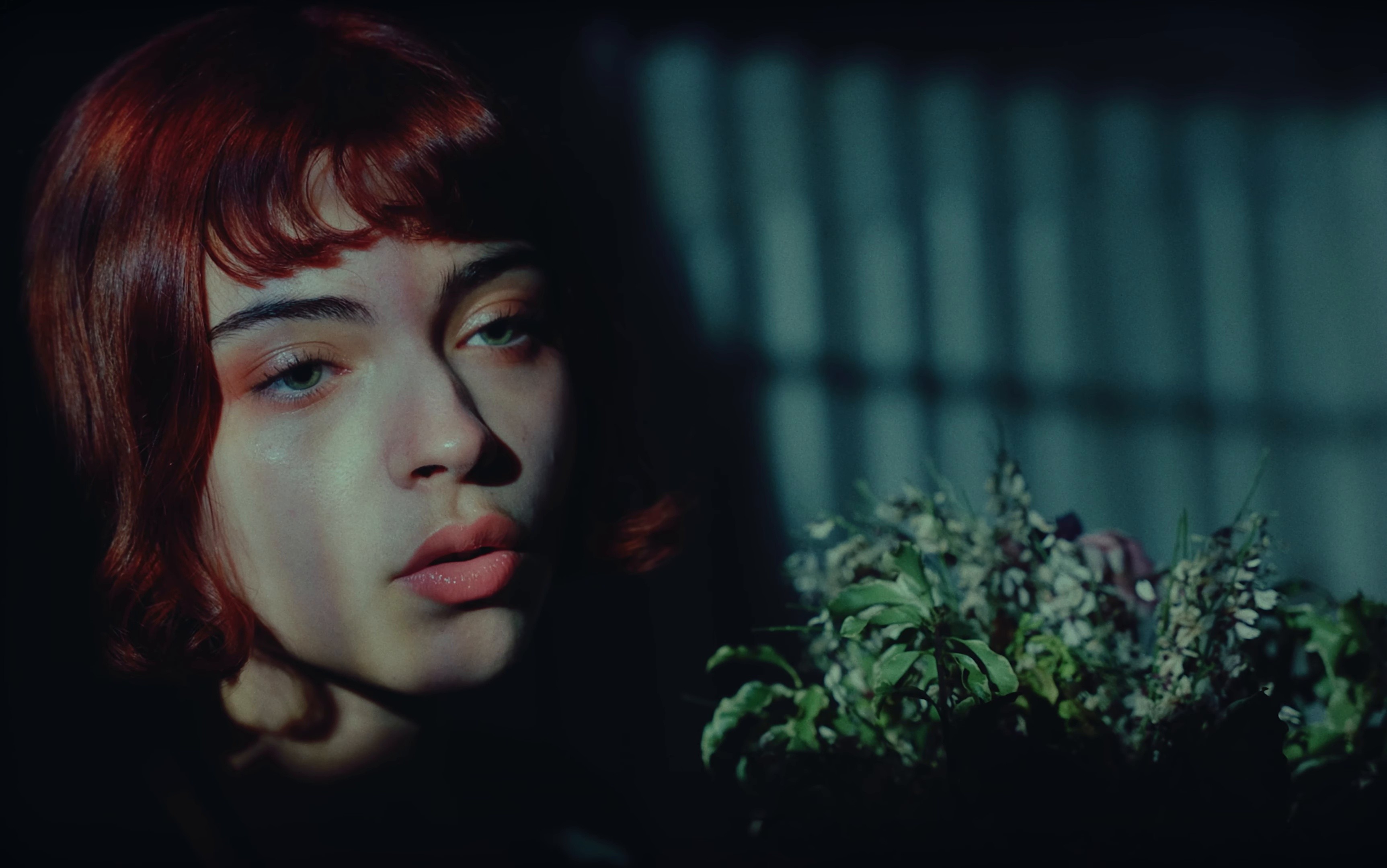 BEST-SELLER (2025) —  shot,  lighting