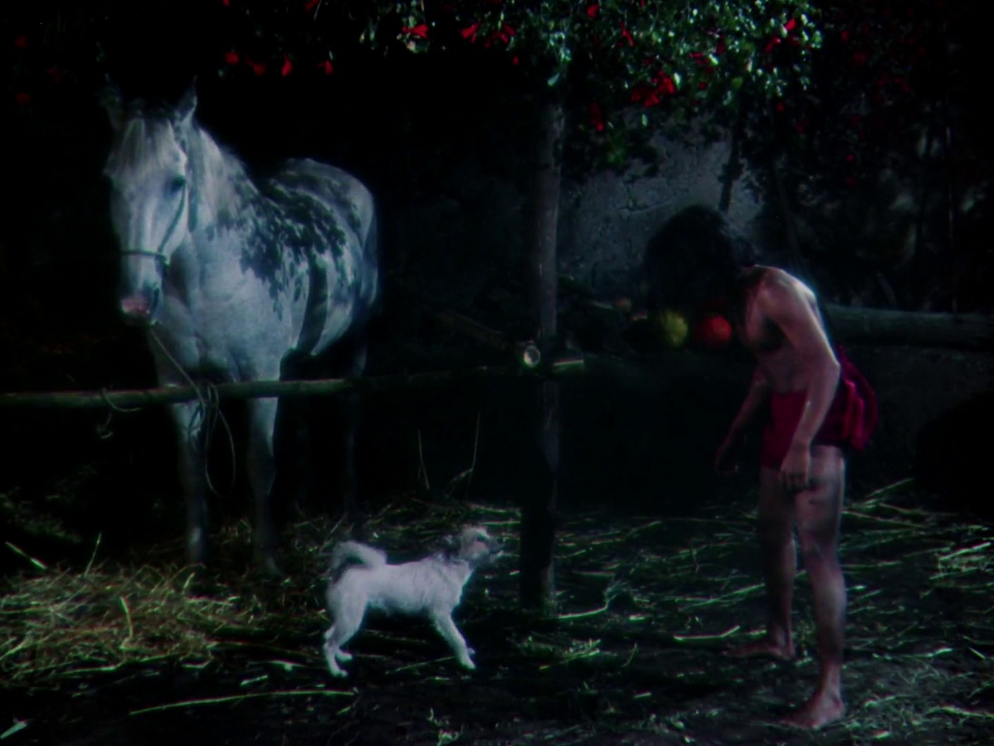 Jungle Book (1942) —  shot,  lighting