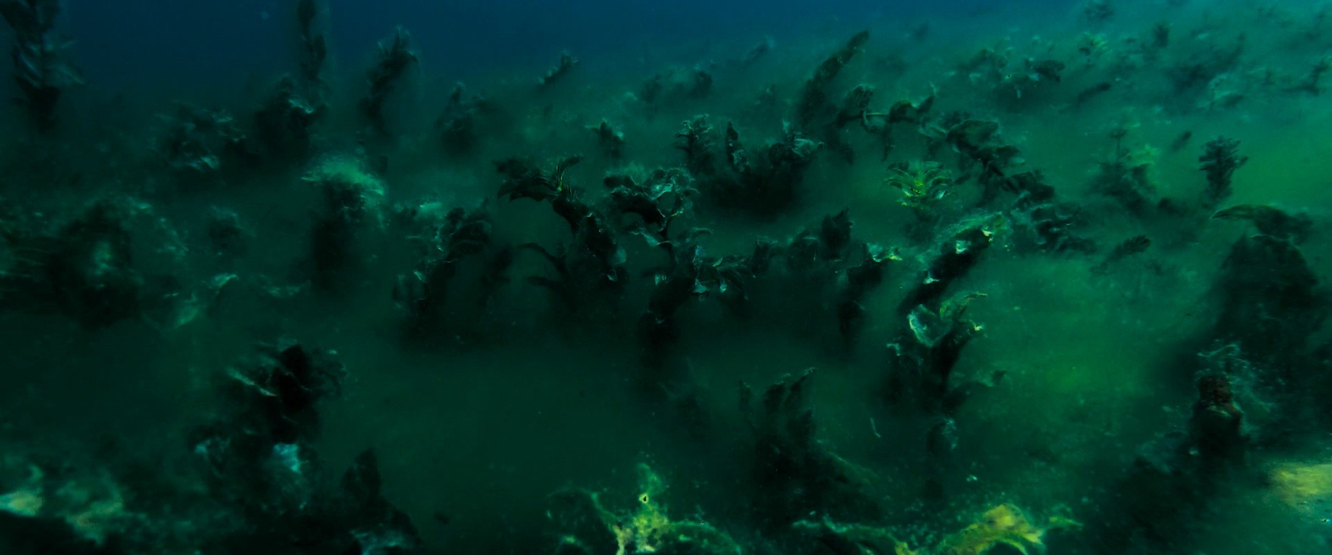 Waterdrop (2024) —  shot,  lighting