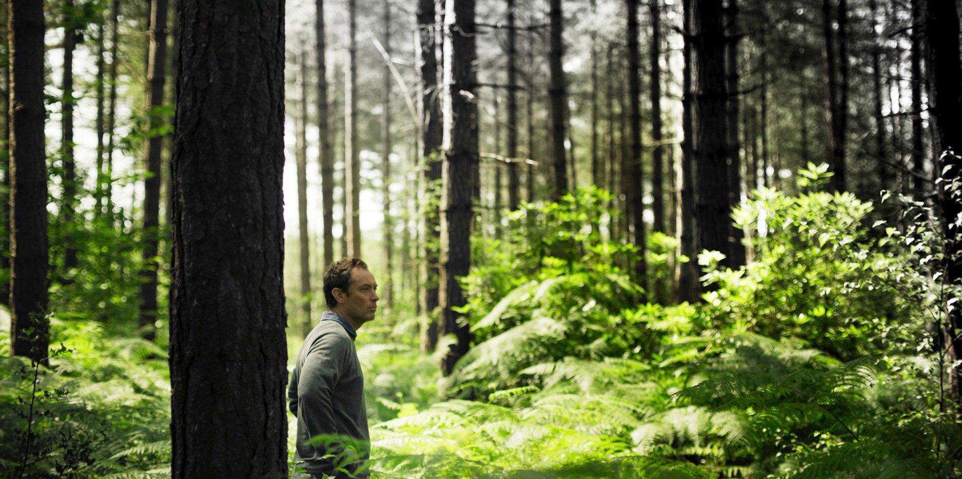 Saturday - The Son (2020) —  shot,  lighting