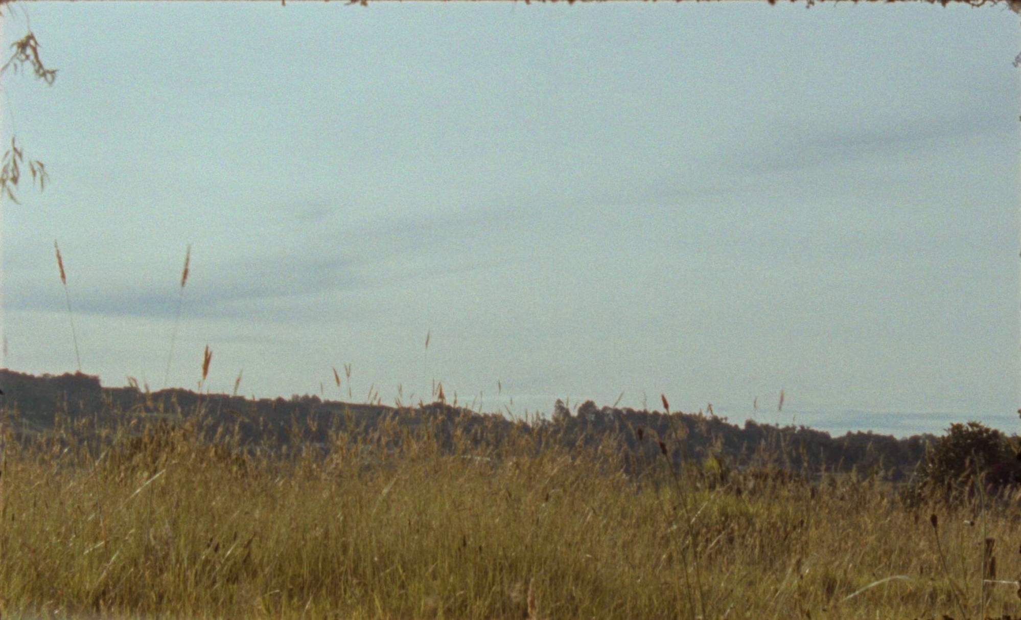 VOY CRECIENDO (2025) —  shot,  lighting