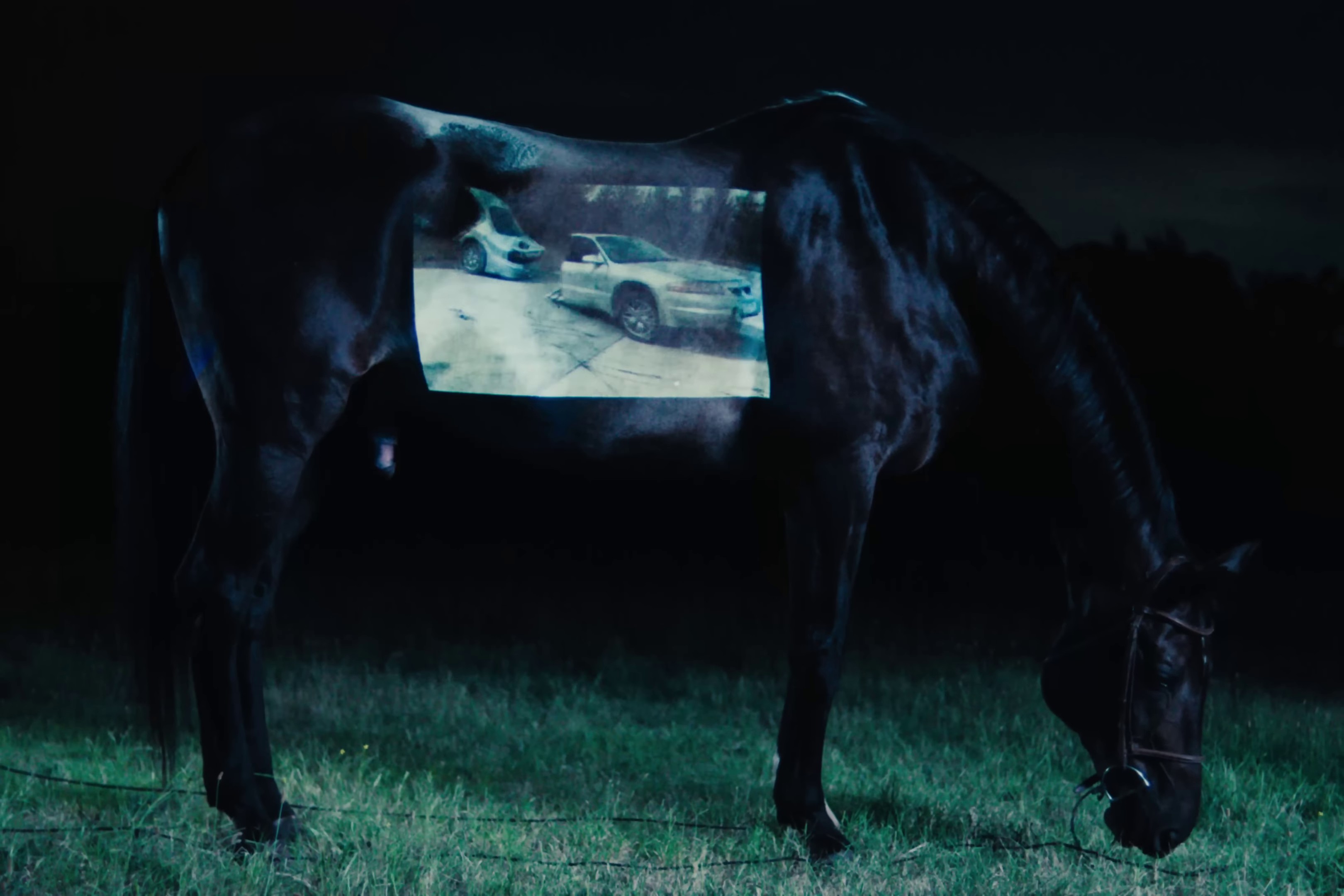 SICK OF IT* (2022) —  shot,  lighting