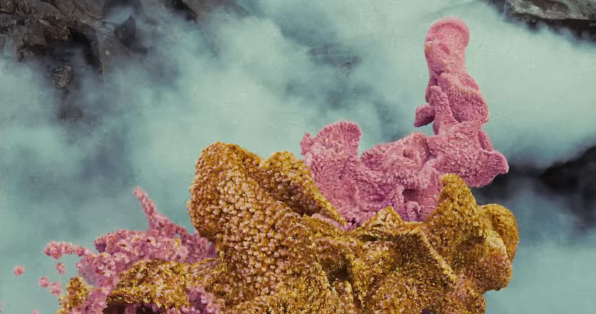 Cherry Blossom (2024) —  shot,  lighting