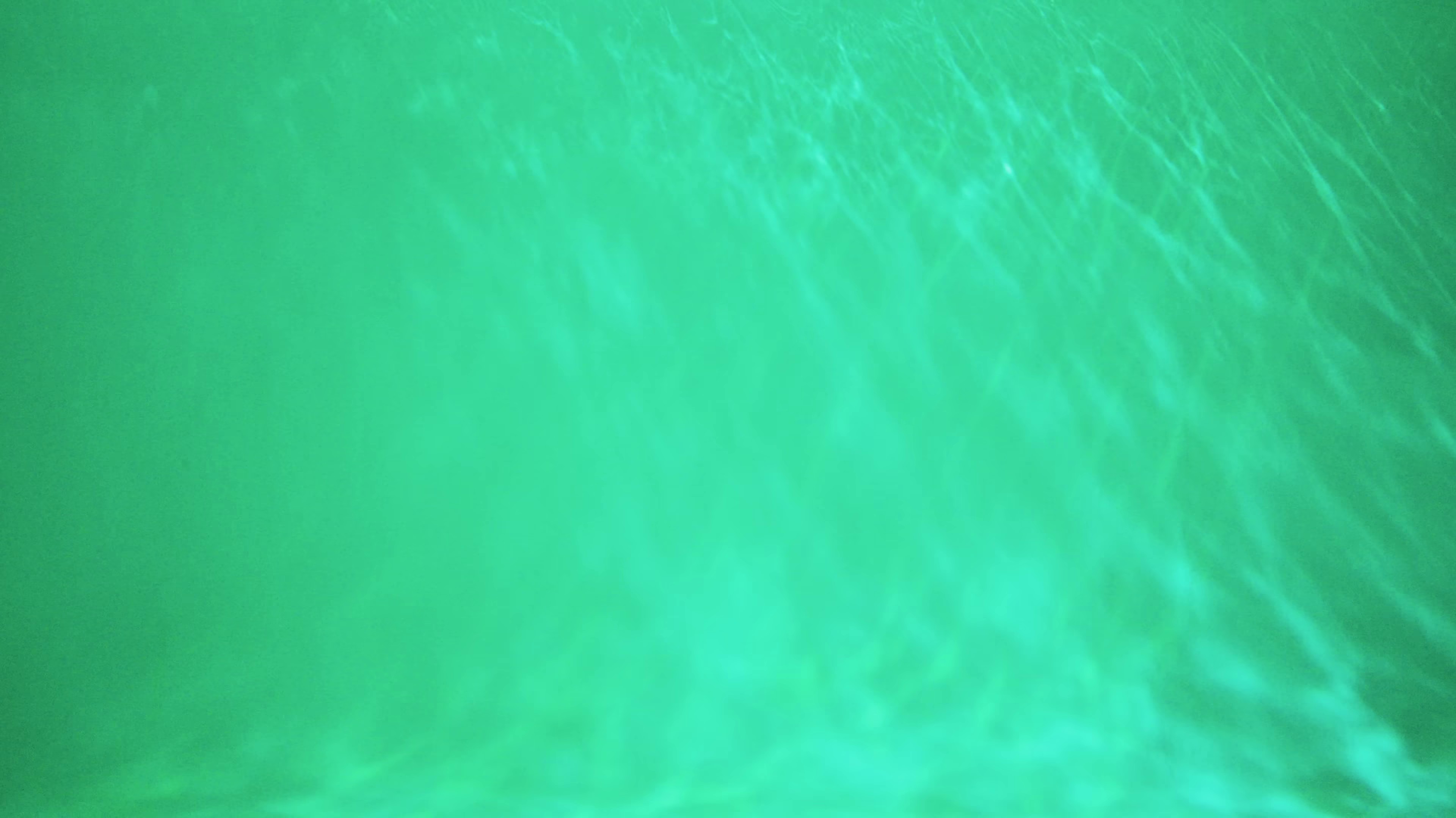 Detox (2023) —  shot,  lighting