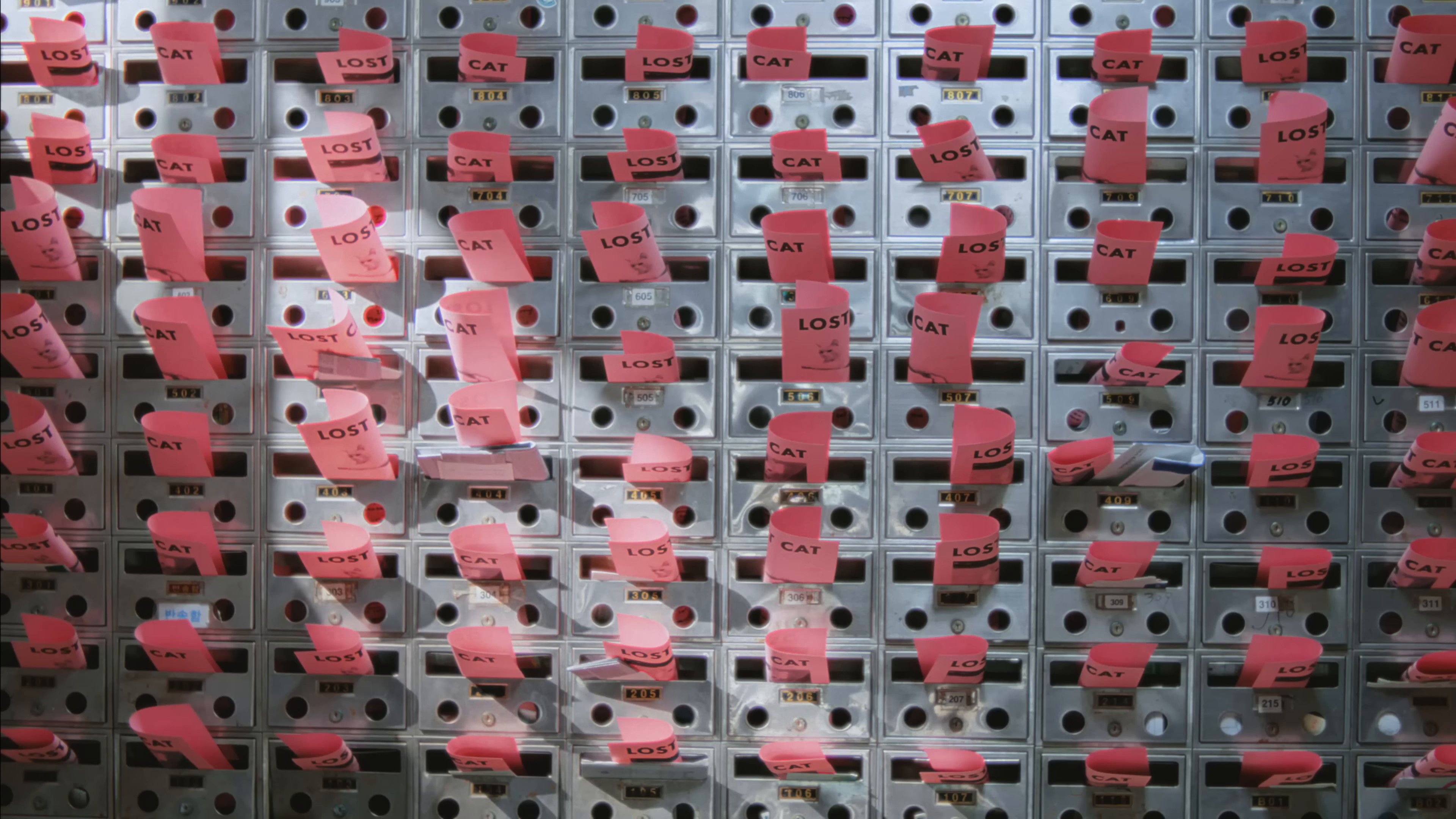 Cherry (2024) —  shot,  lighting