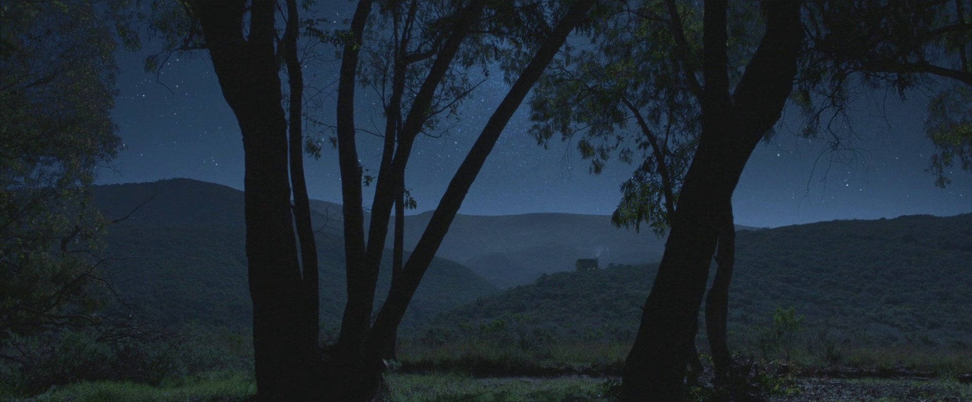 Overgrown (2013) —  shot,  lighting