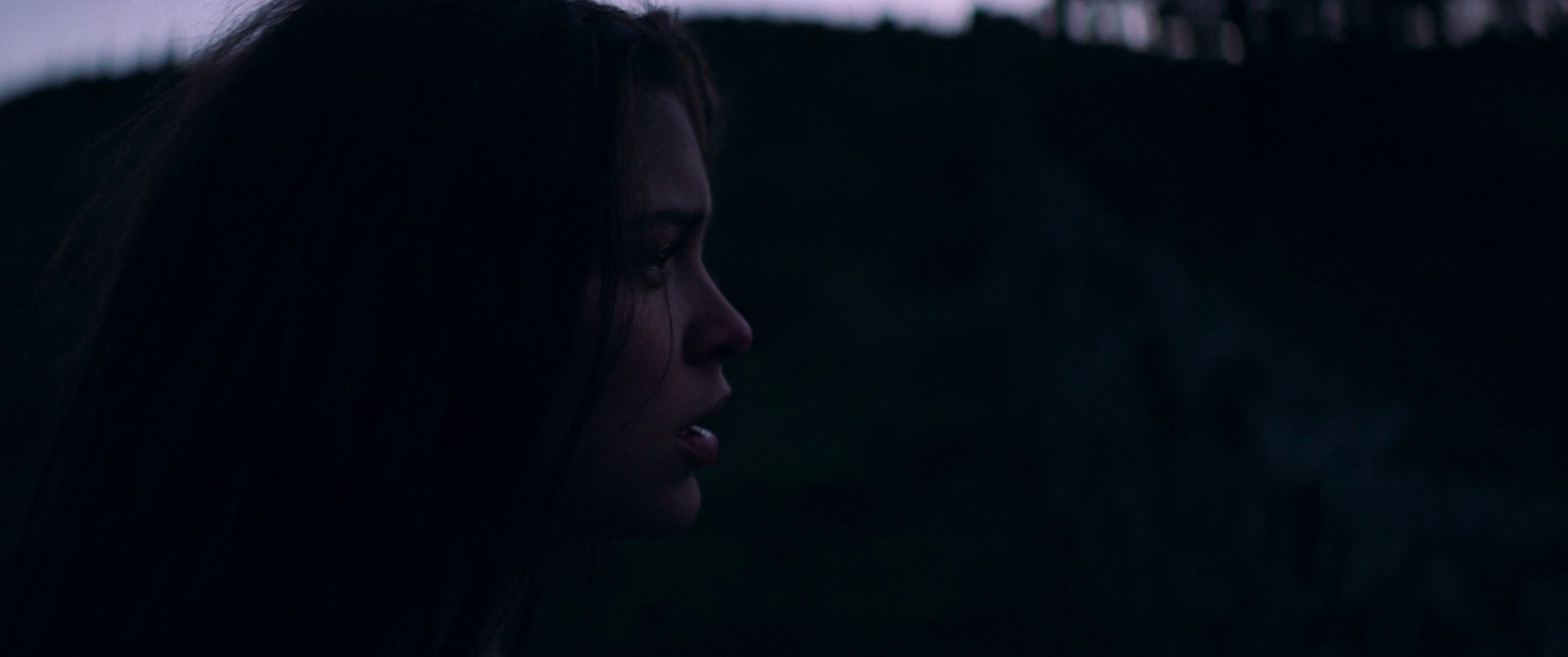 Pleader (2017) —  shot,  lighting