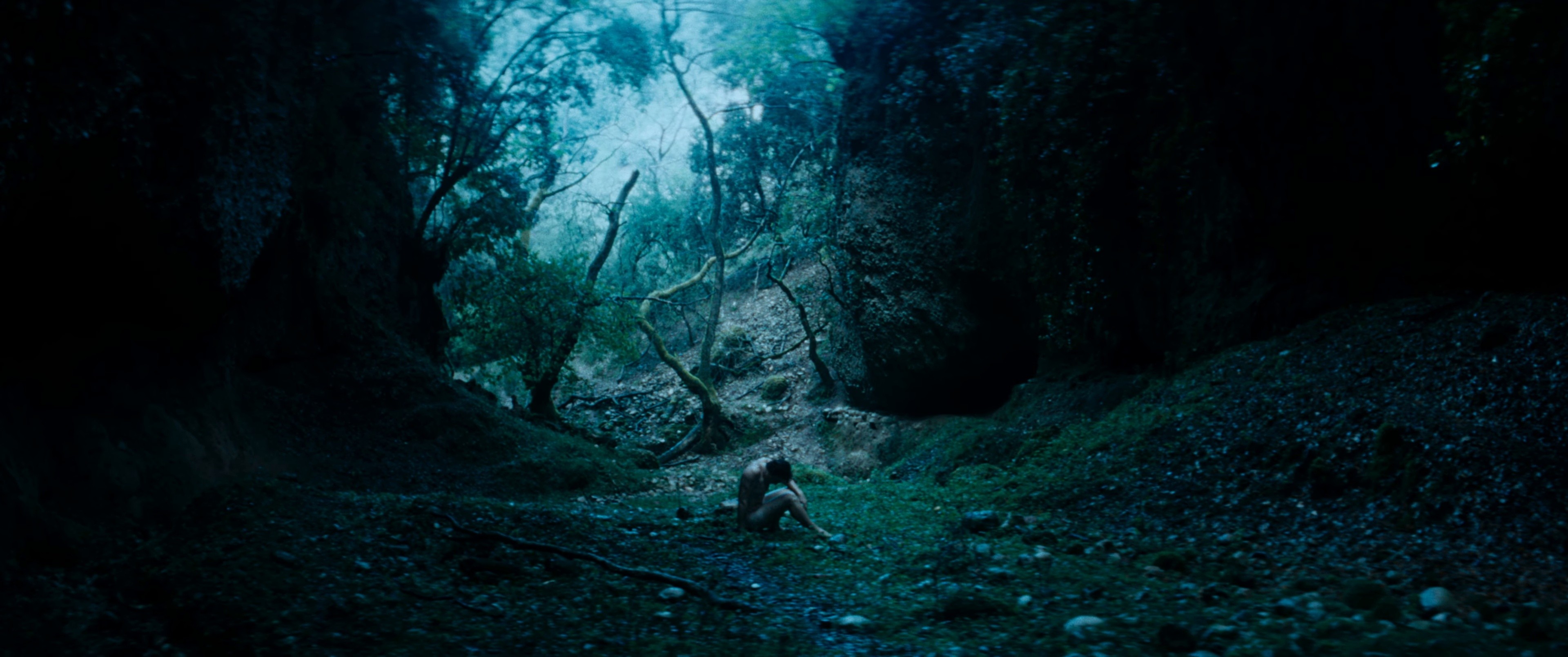 Morning Star (2024) —  shot,  lighting