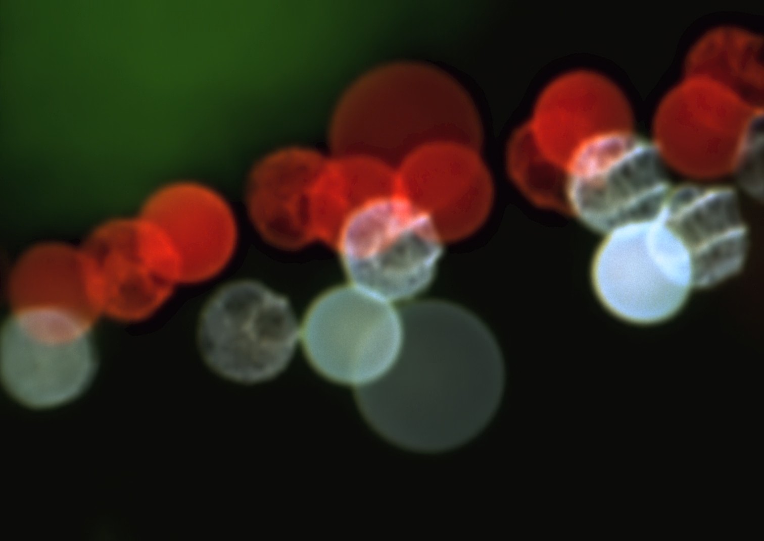 Religion (1998) —  shot,  lighting