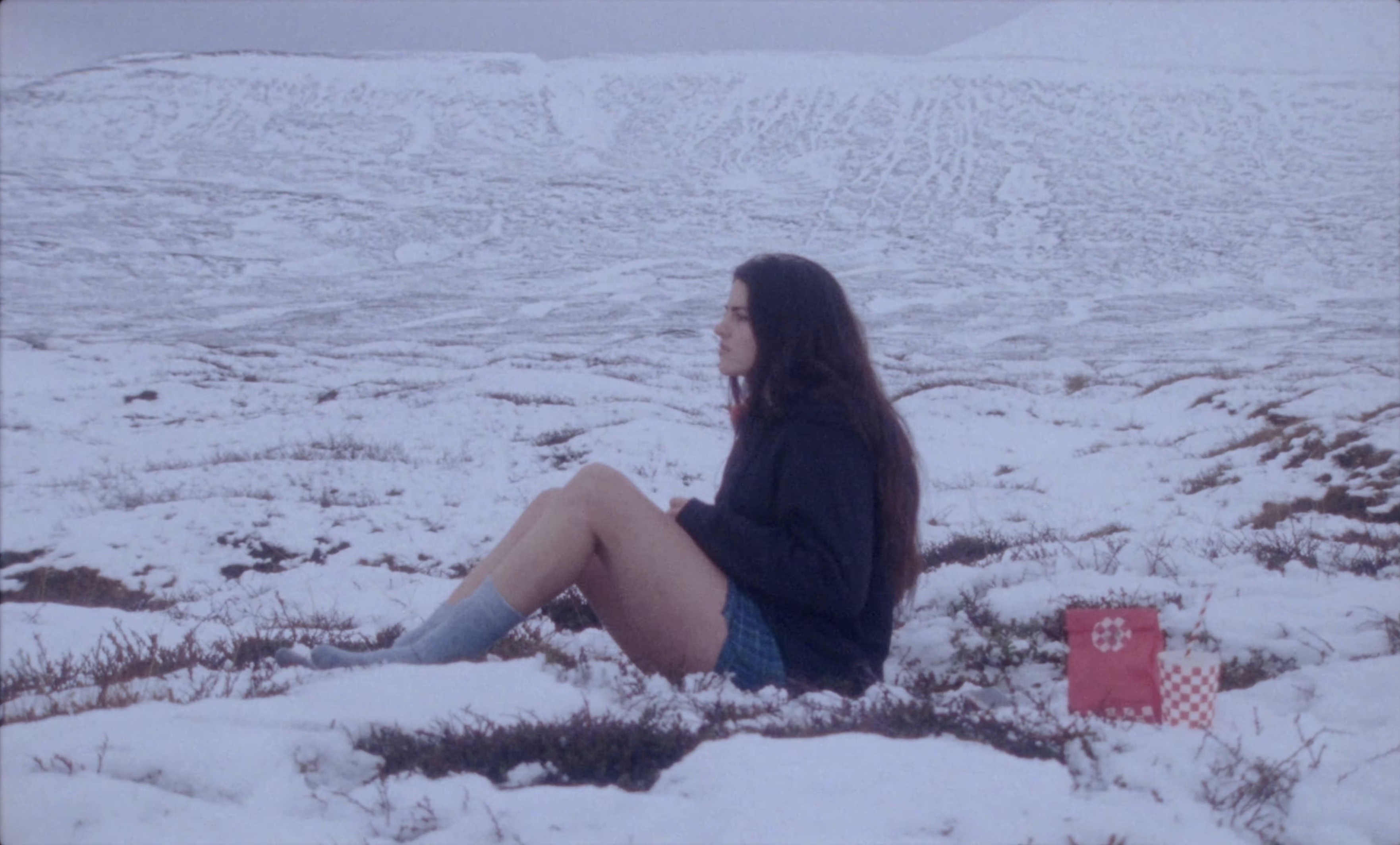 Dashboard Mary (2026) —  shot,  lighting