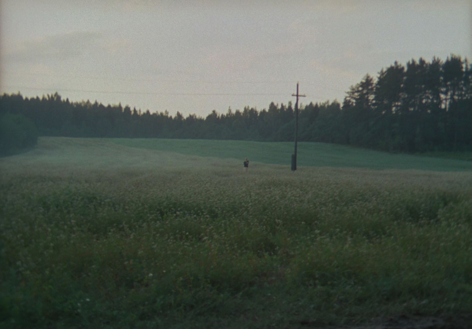 The Mirror (1975) —  shot,  lighting