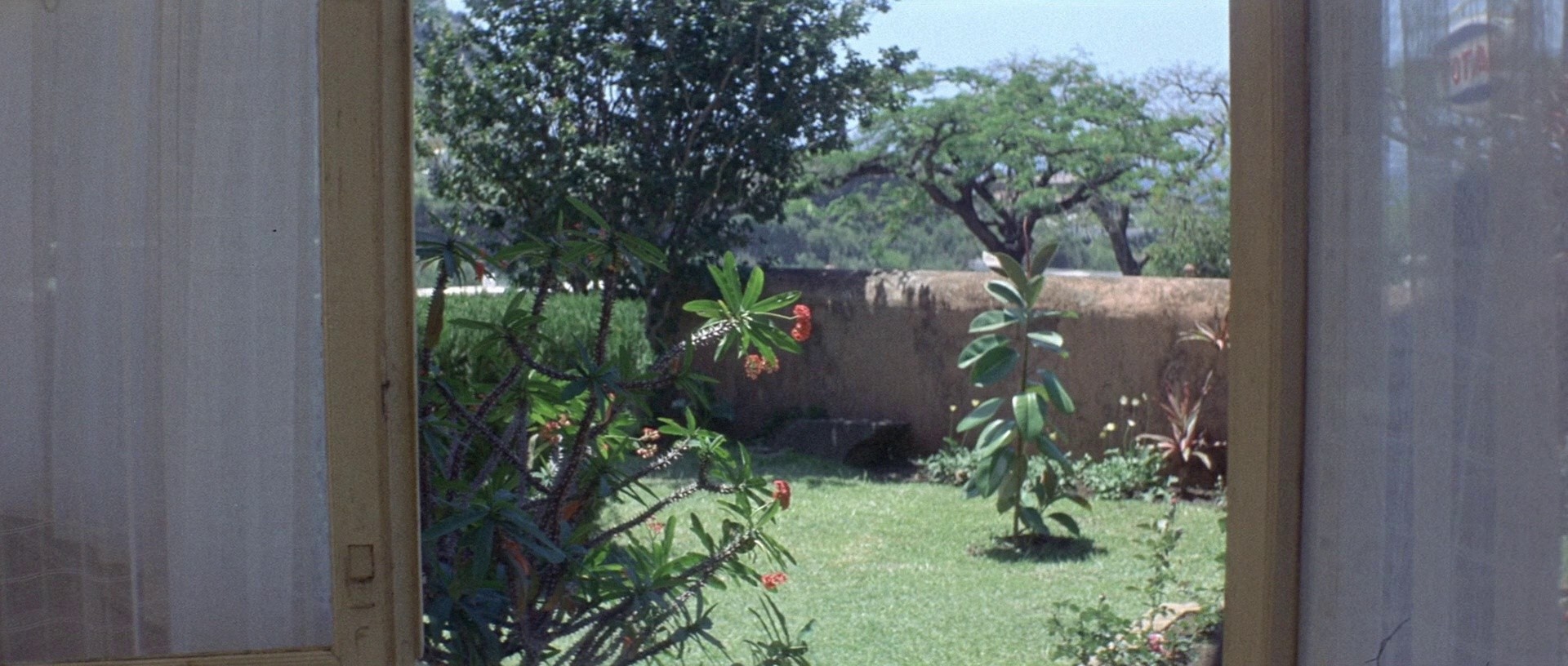 Mississippi Mermaid (1969) —  shot,  lighting