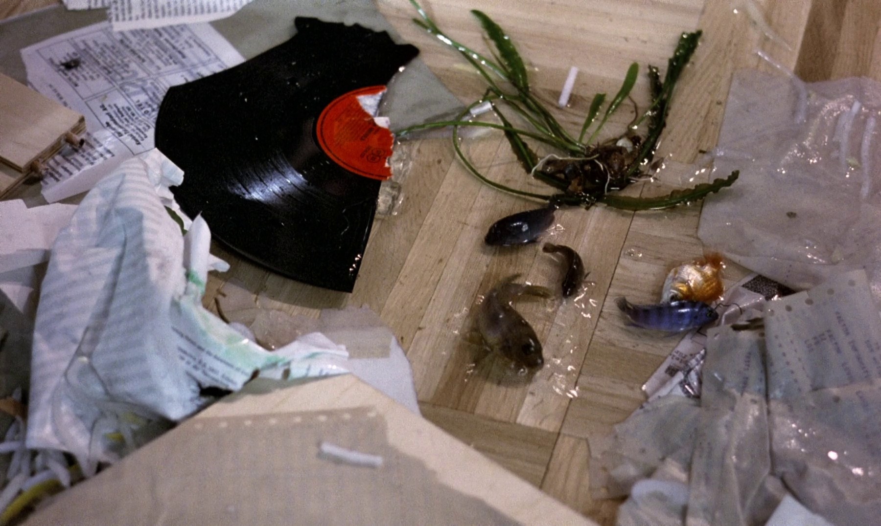 The Seventh Continent (1992) —  shot,  lighting