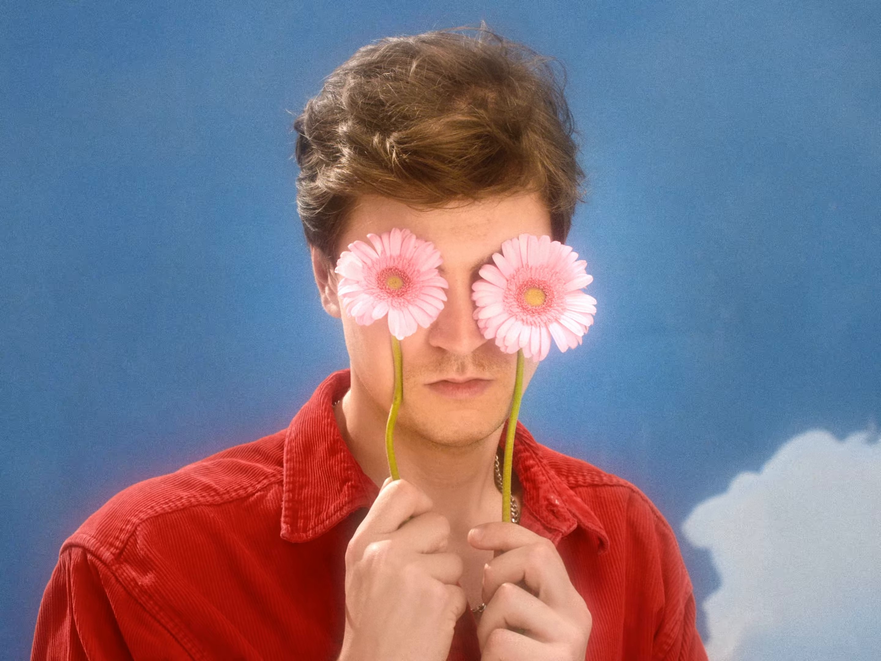 'Bul Bul Bul' (2024) —  shot,  lighting