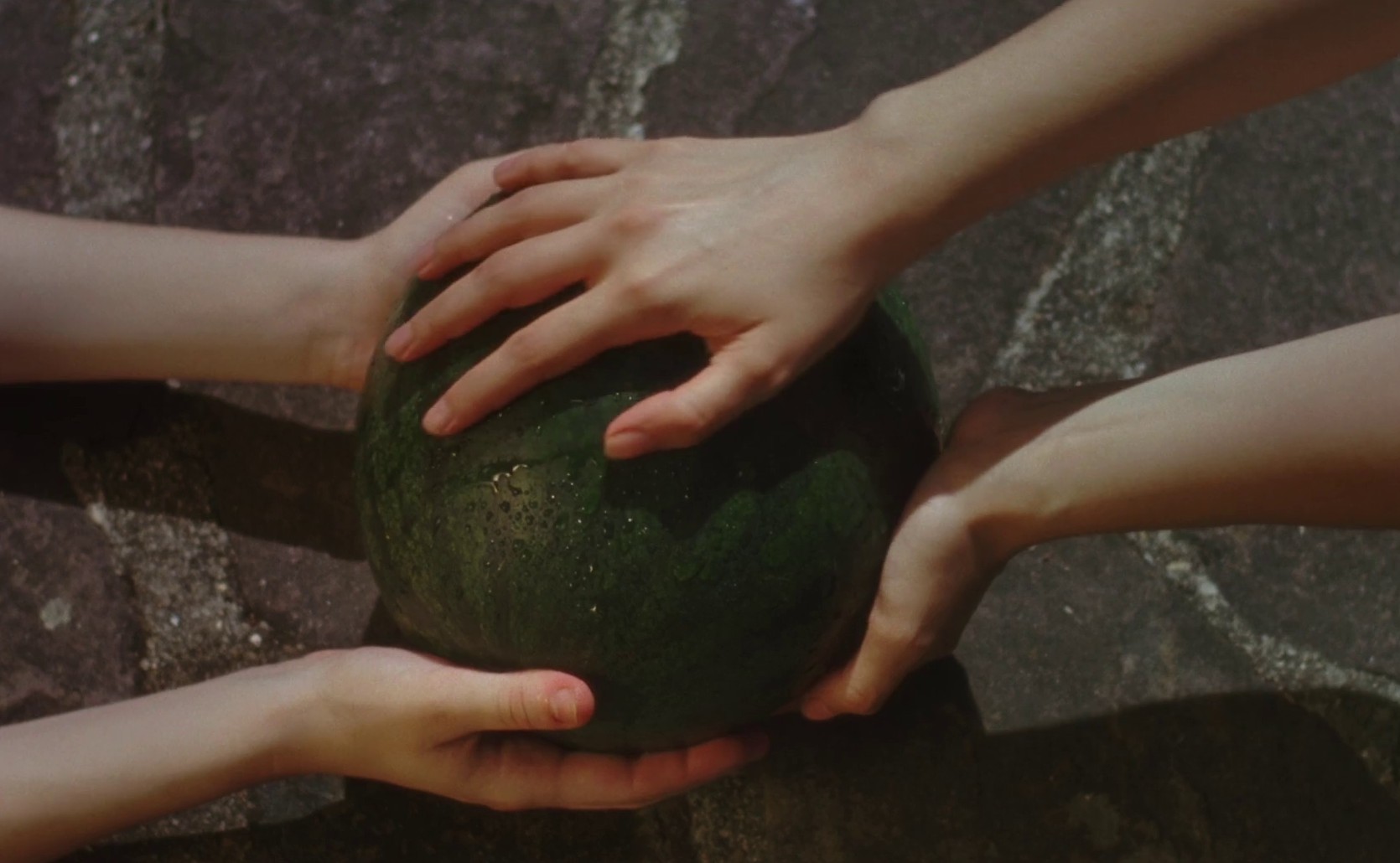 Les Filles Désir (2017) —  shot,  lighting