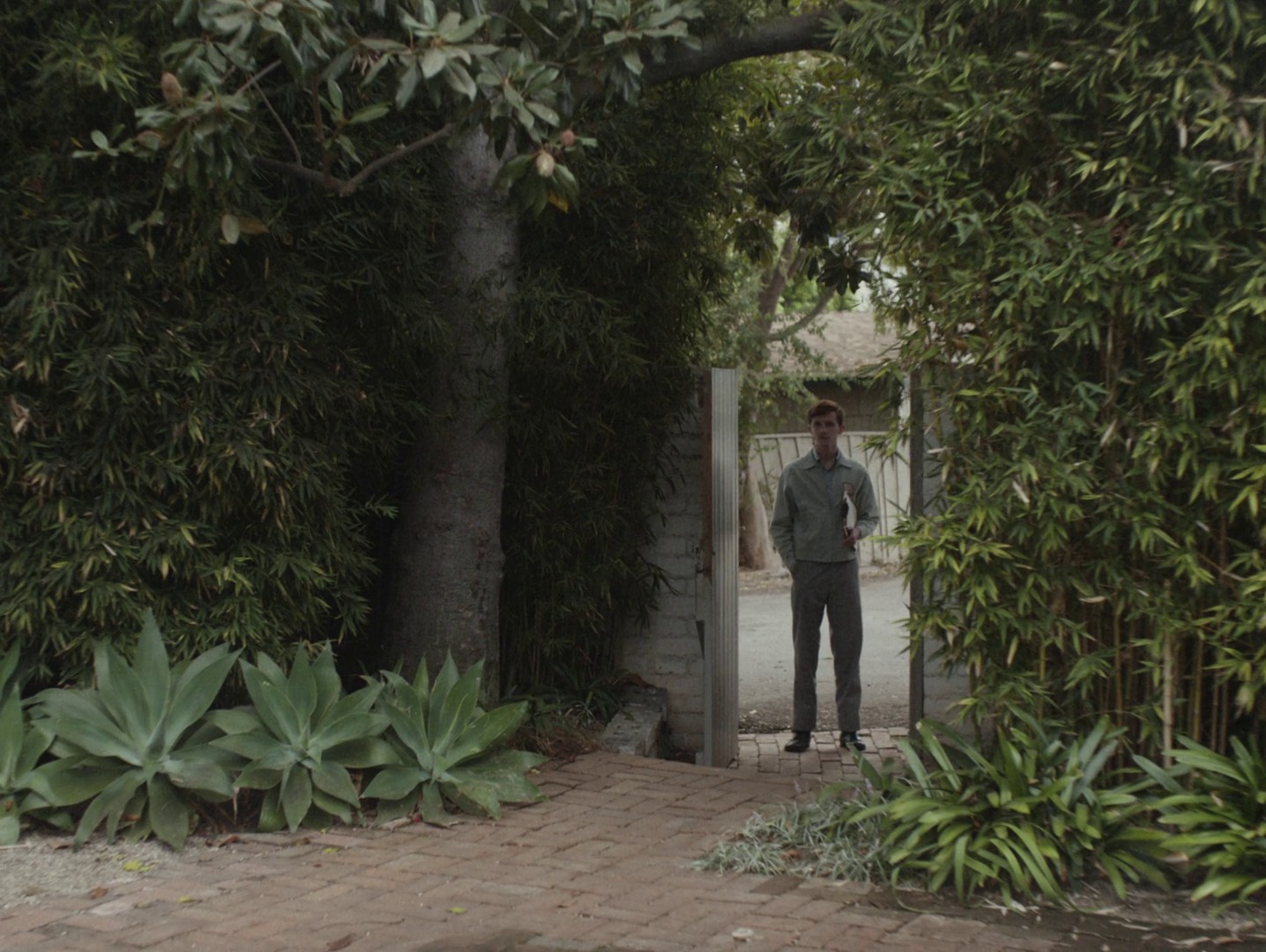 Blonde (2022) —  shot,  lighting