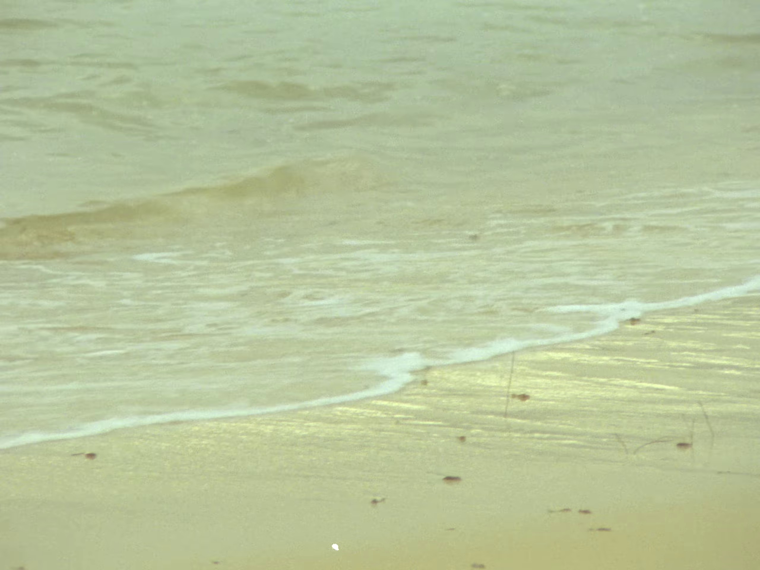 Saturn Returning (2023) —  shot,  lighting