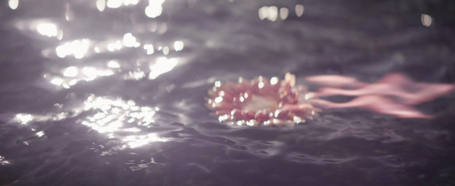 Coronus, The Terminator (2015) —  shot,  lighting