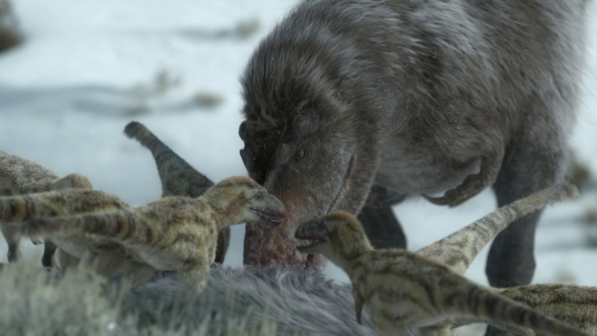 Islands (2023) —  shot,  lighting