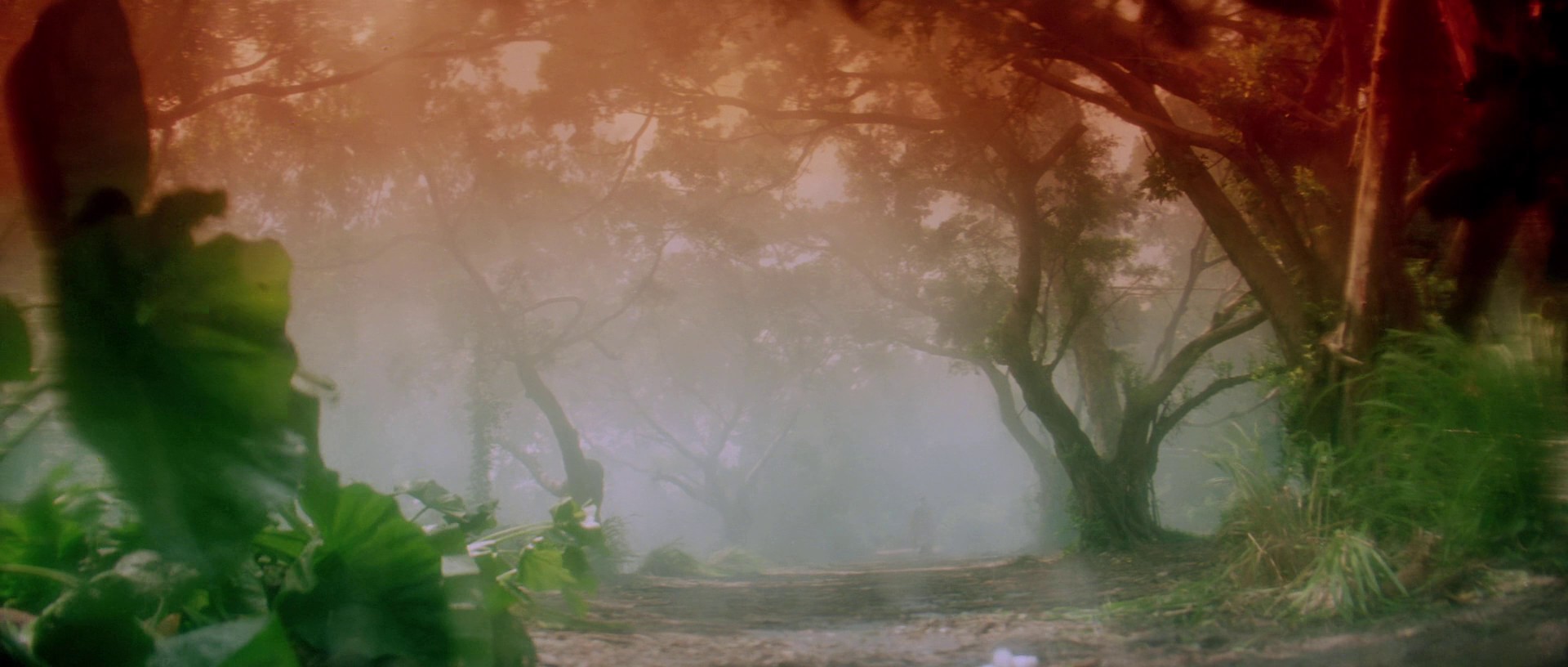 Green Snake (1993) —  shot,  lighting