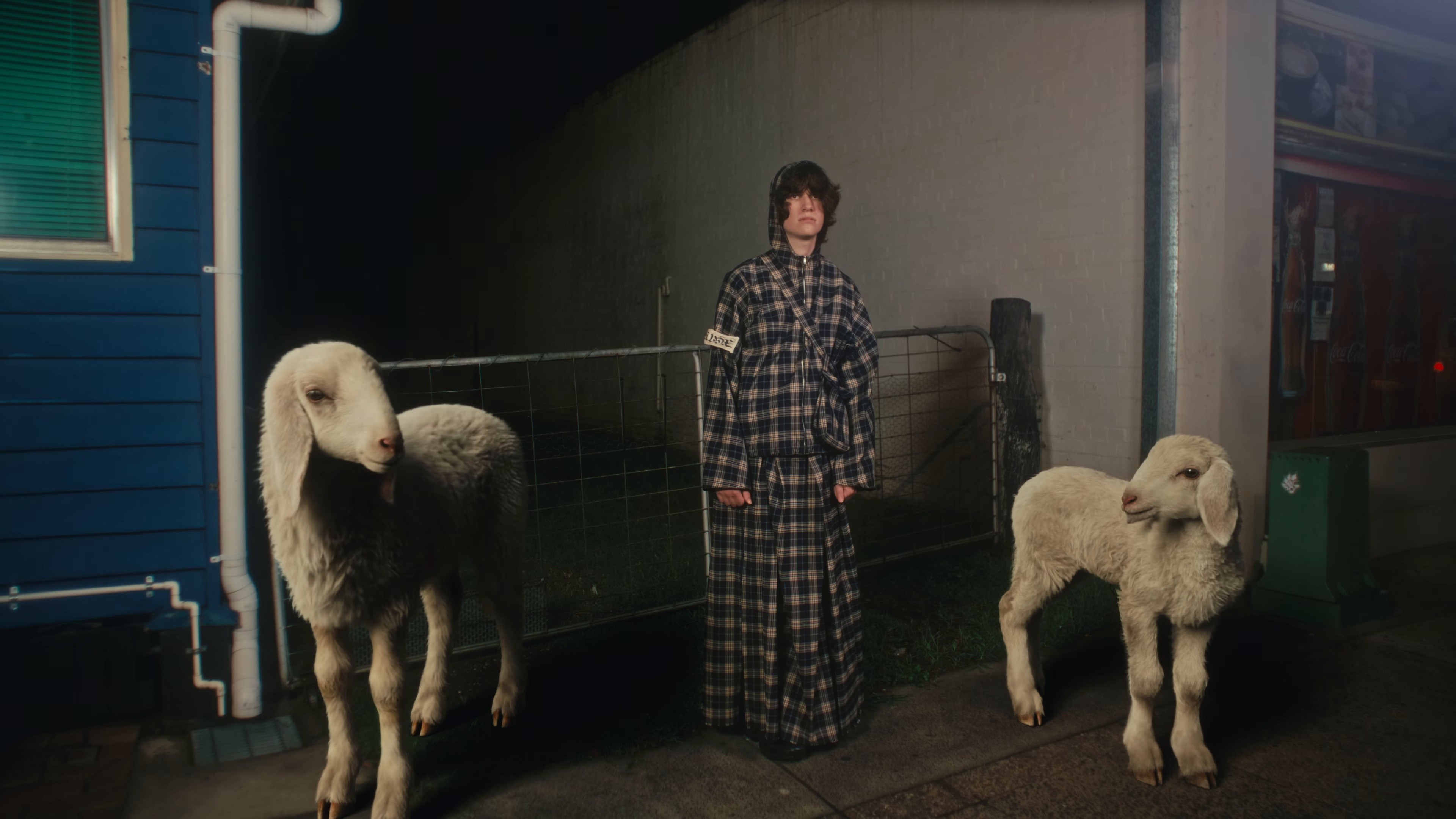 Horses (2024) —  shot,  lighting