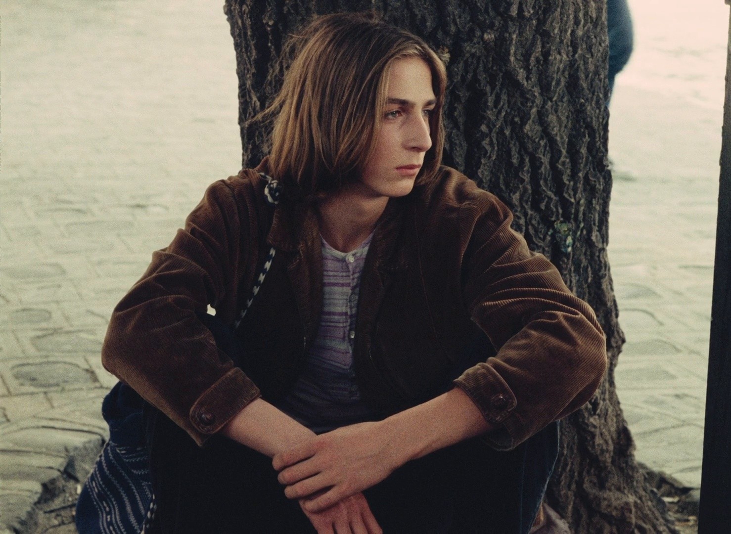 The Devil, Probably (1977) —  shot,  lighting