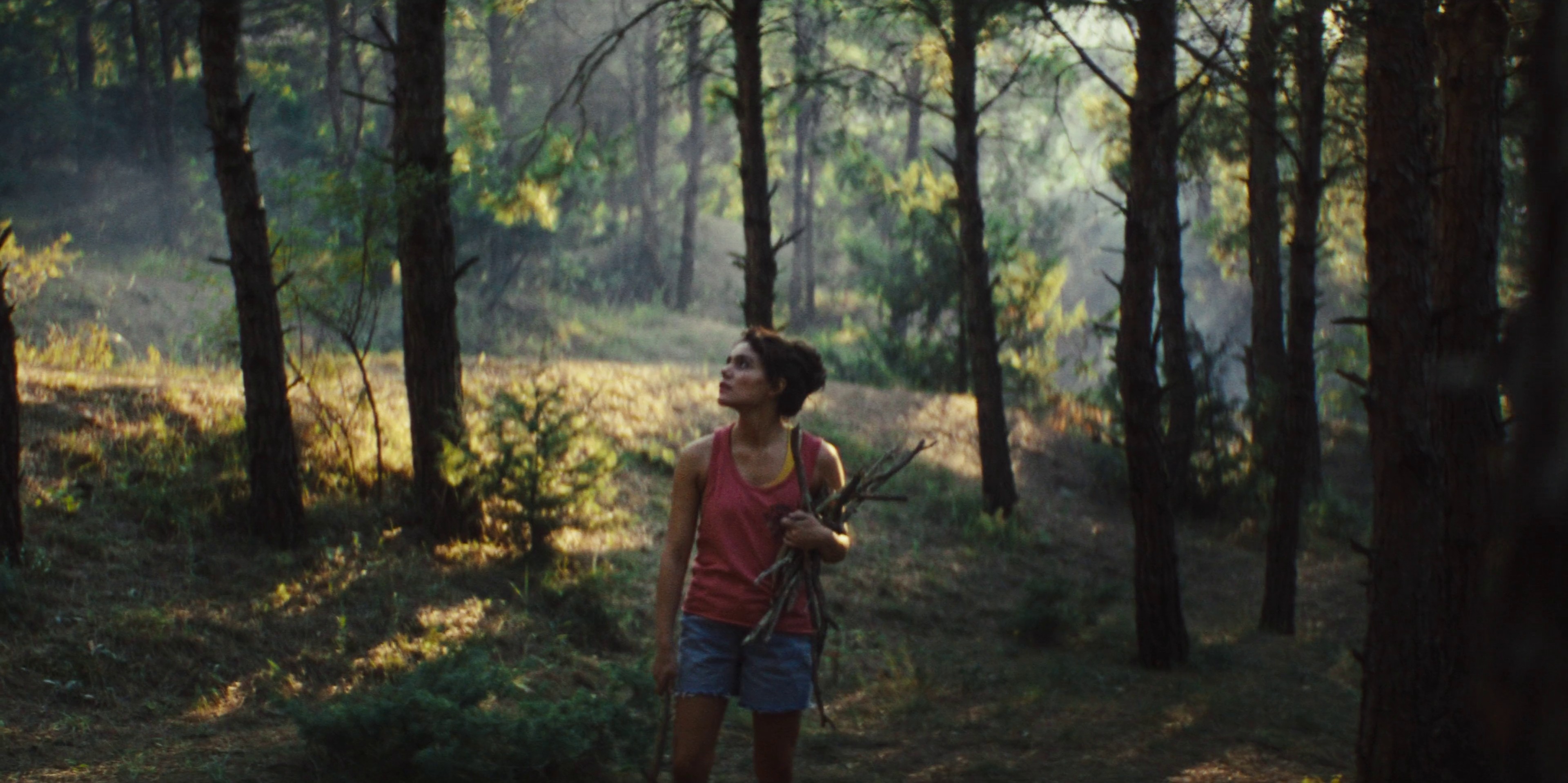 Antibrumm "Into the woods" DC (2024) —  shot,  lighting