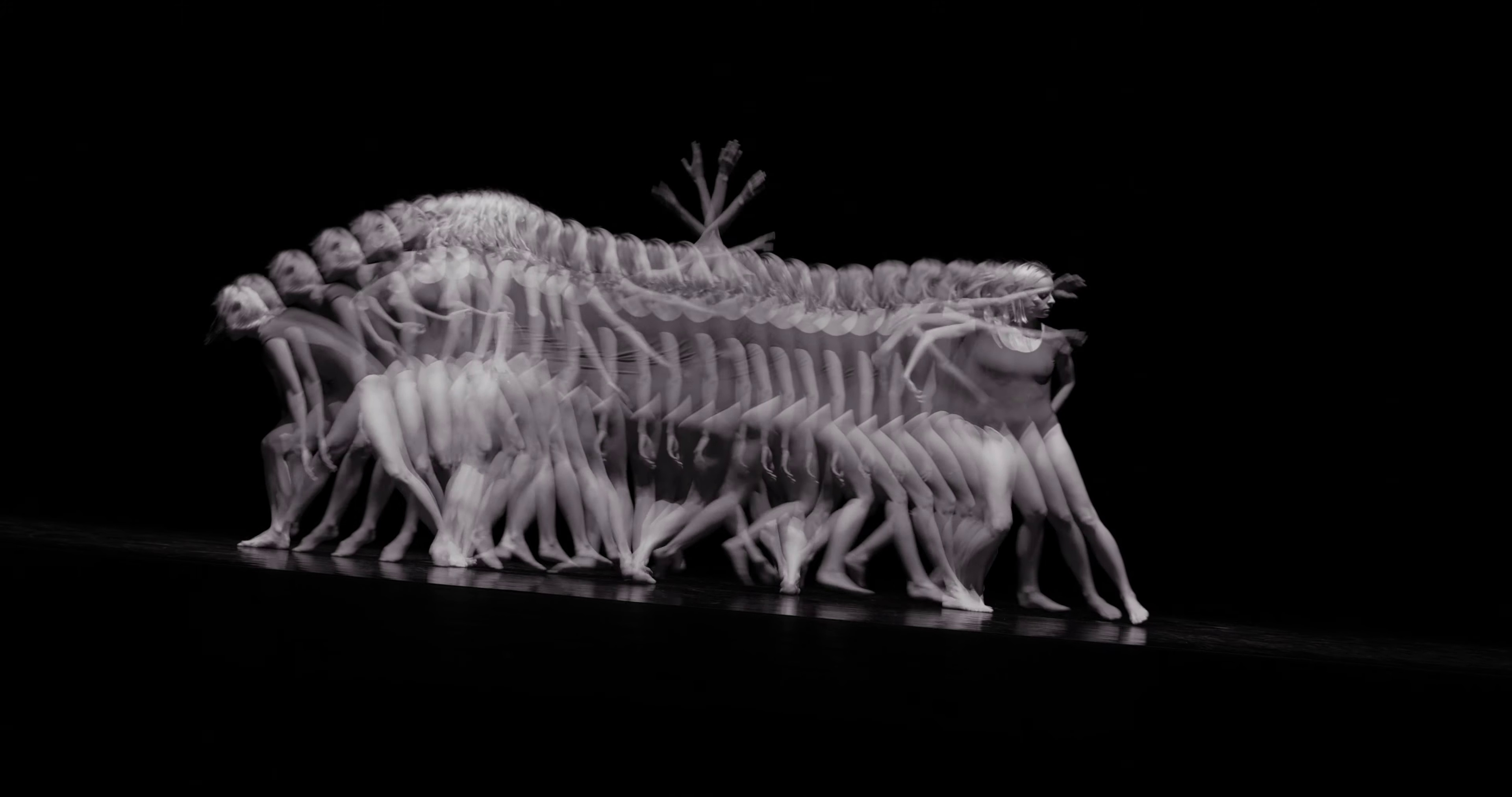 Sébastien Guérive  (2021) —  shot,  lighting