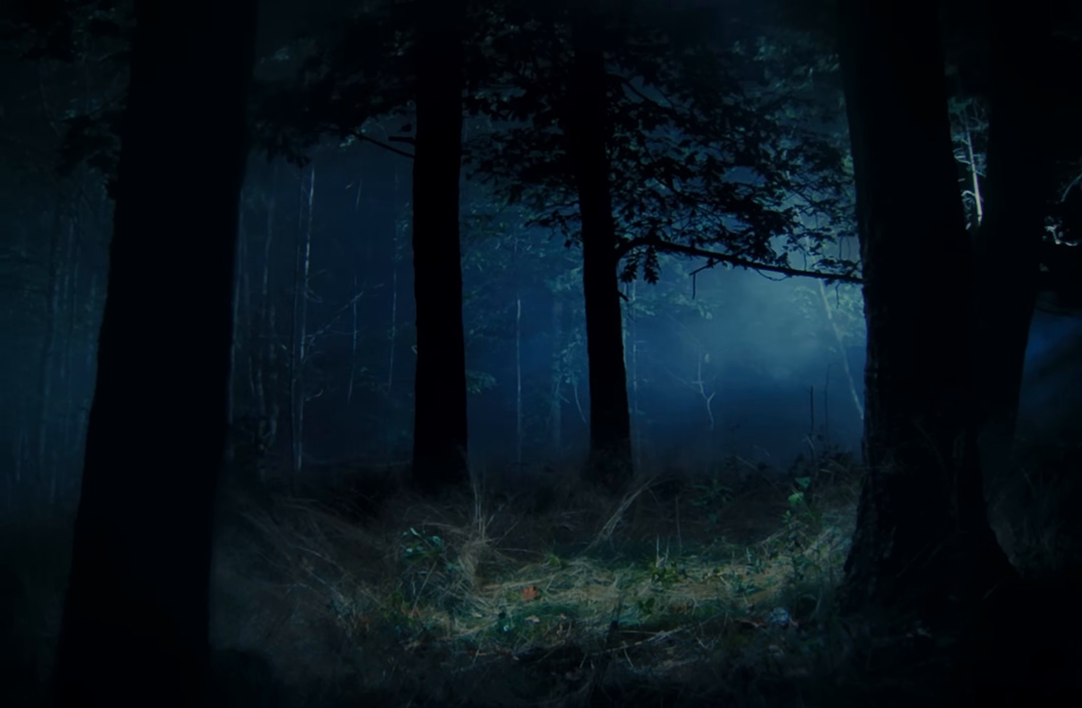 Attack + Release (2025) —  shot,  lighting