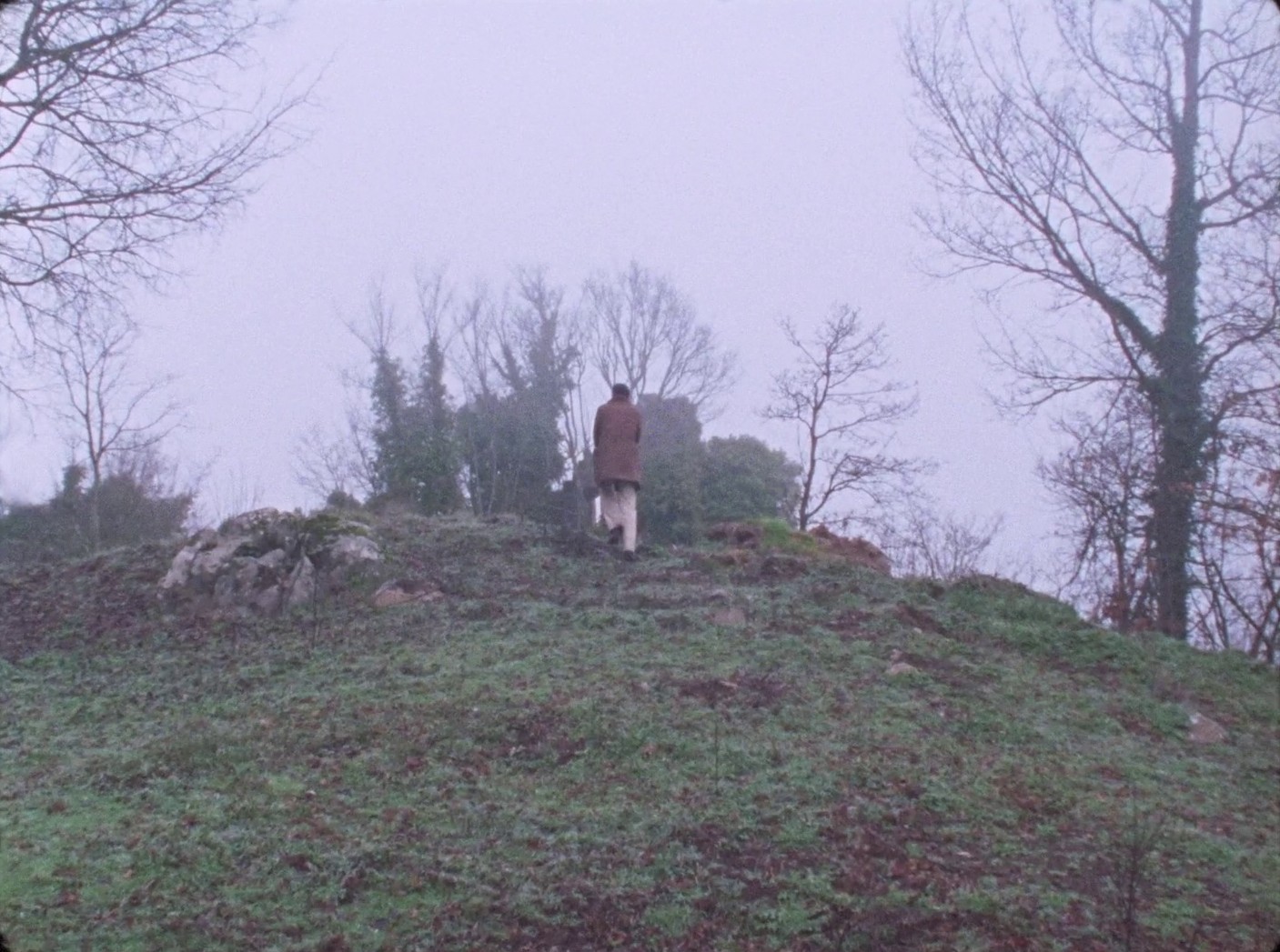 La Chimera (2024) —  shot,  lighting