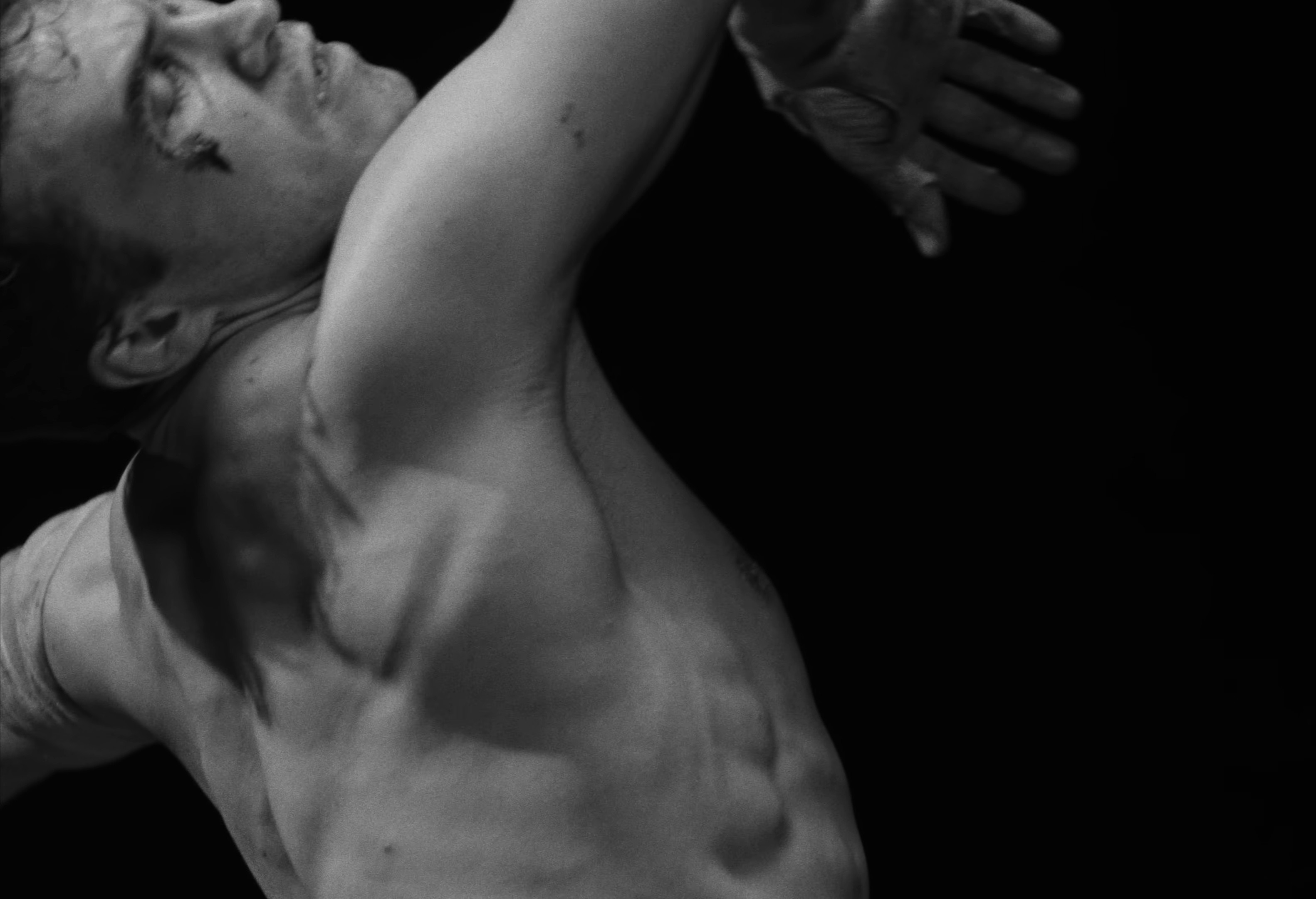 Open Fields (2025) —  shot,  lighting