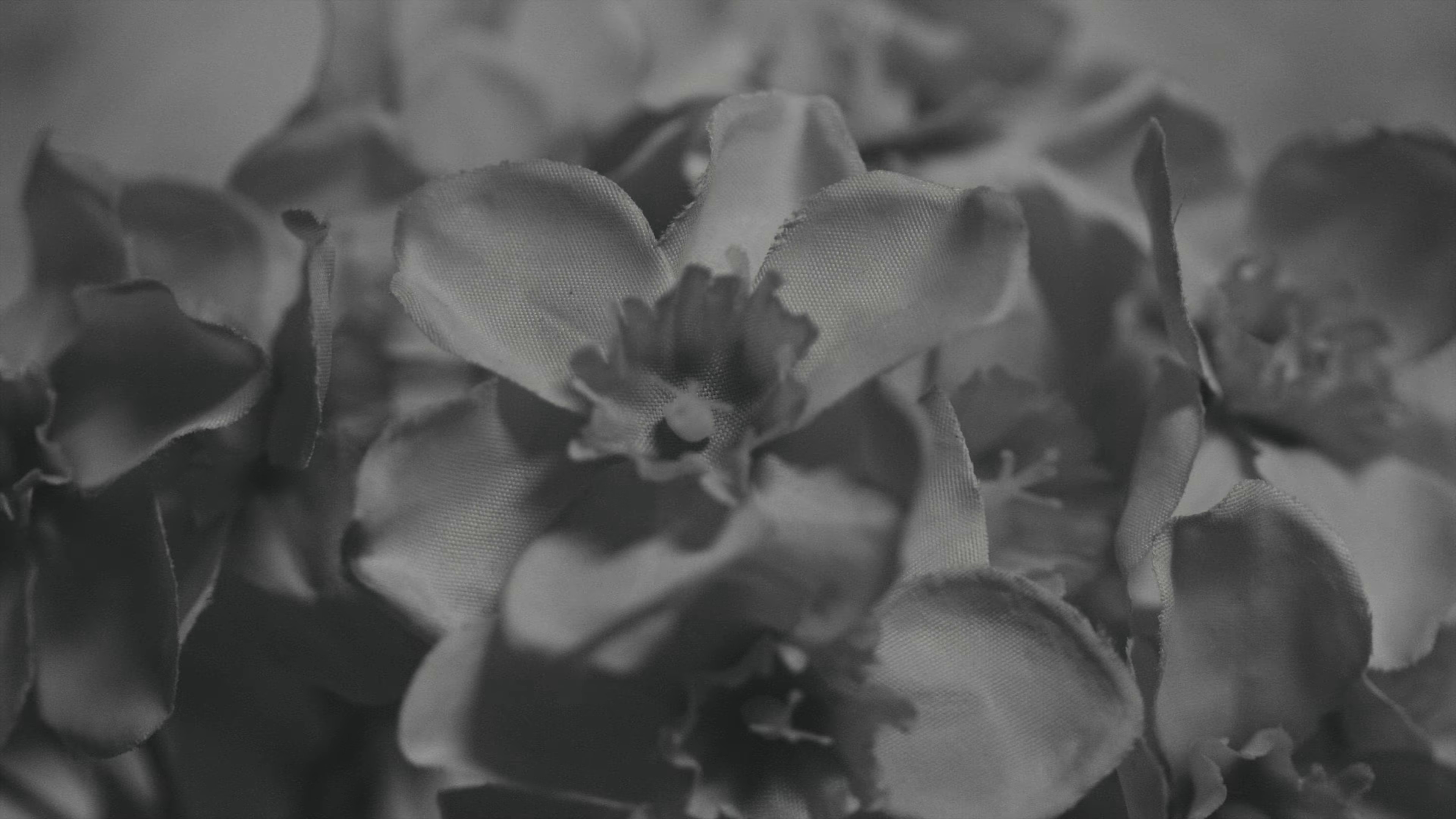 R&B (2024) —  shot,  lighting