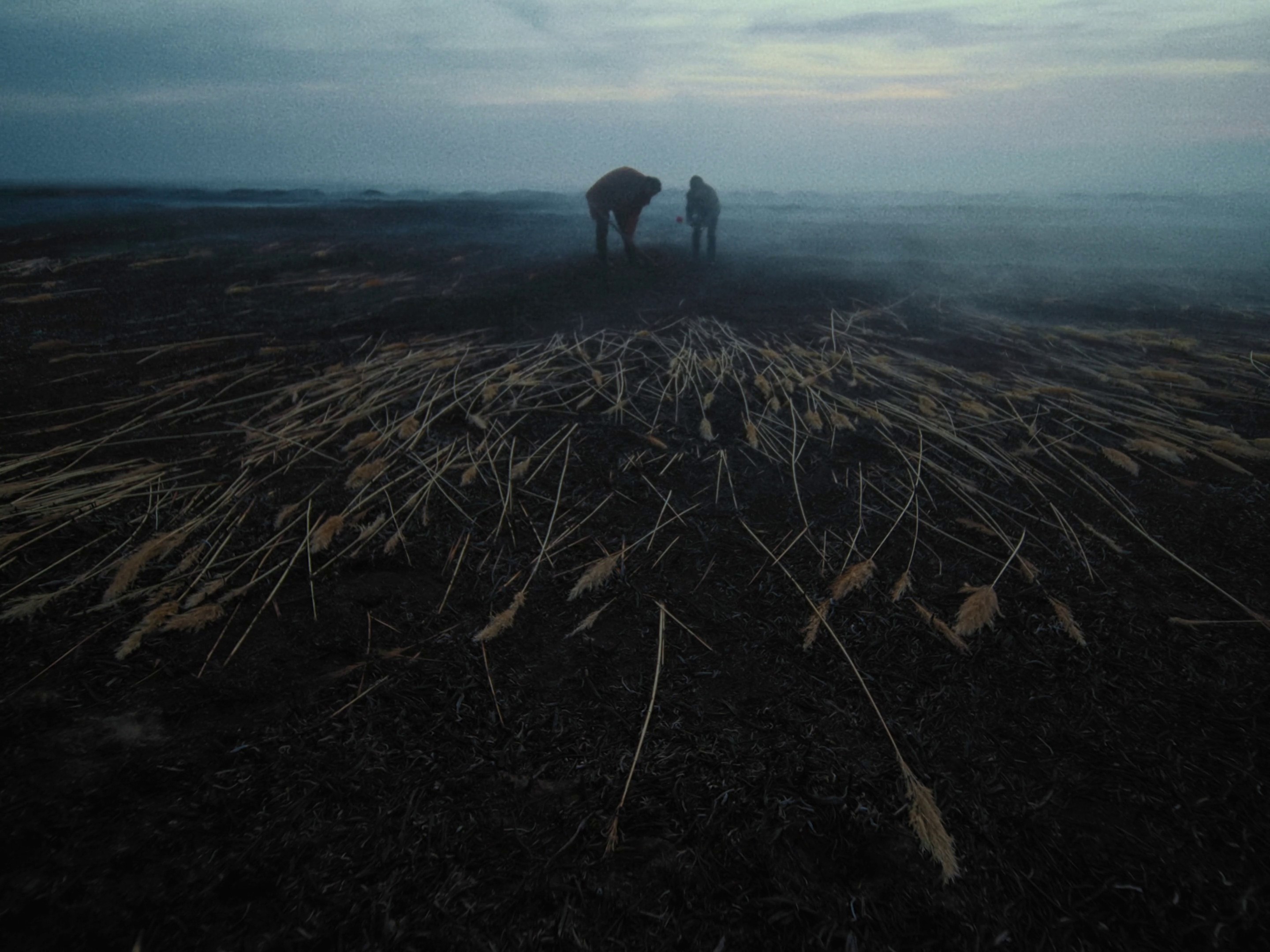 MEMO (2022) —  shot,  lighting