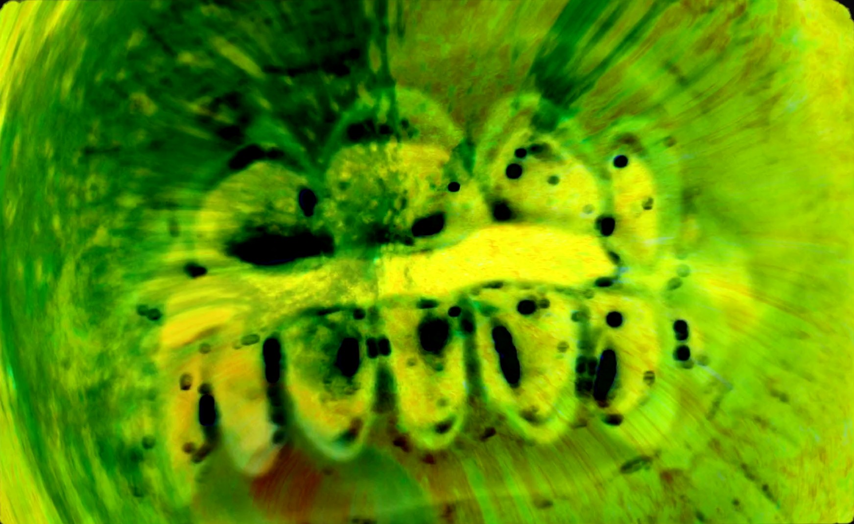 Floor Seats (2023) —  shot,  lighting