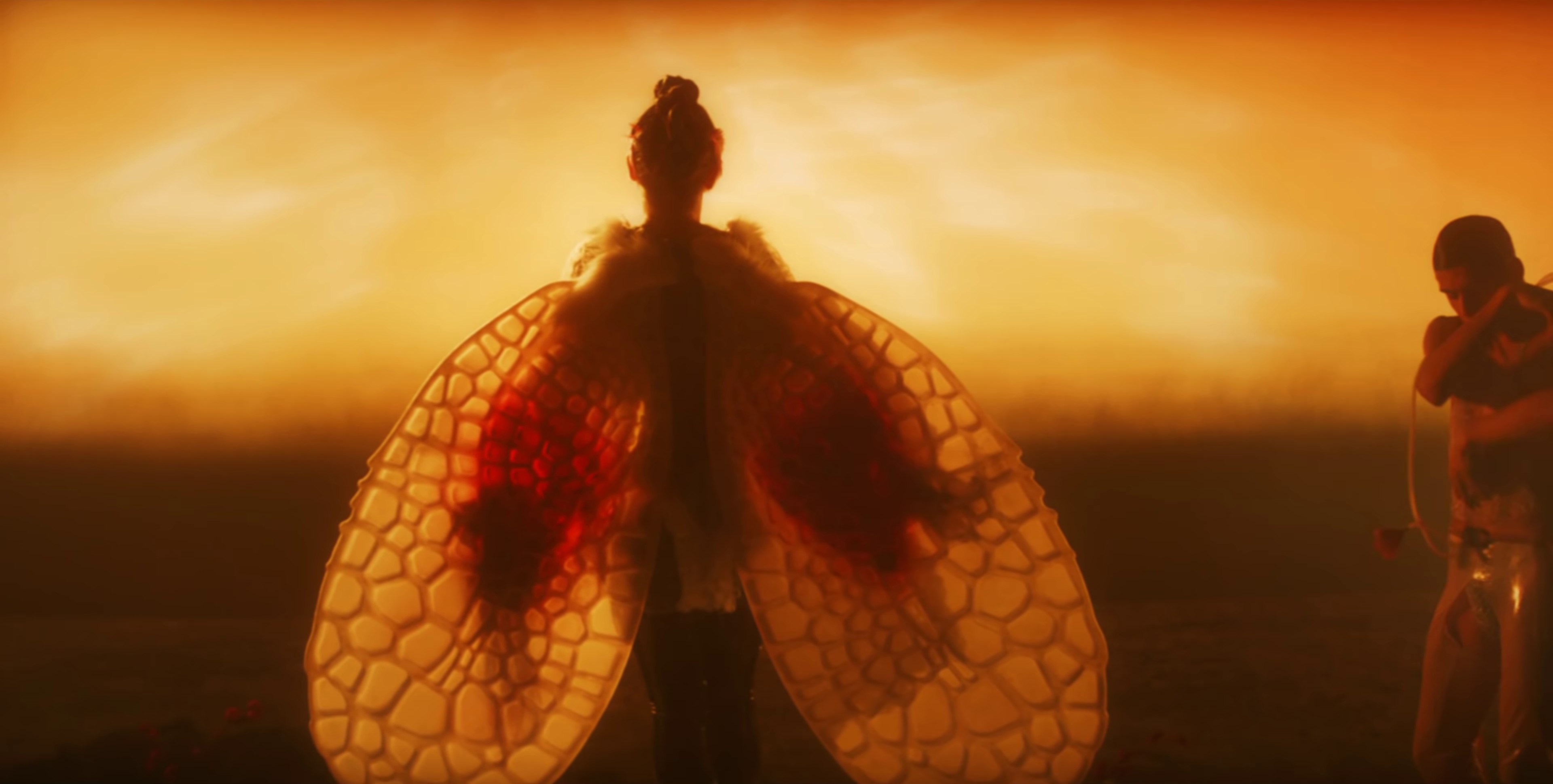 arisen my senses (2017) —  shot,  lighting