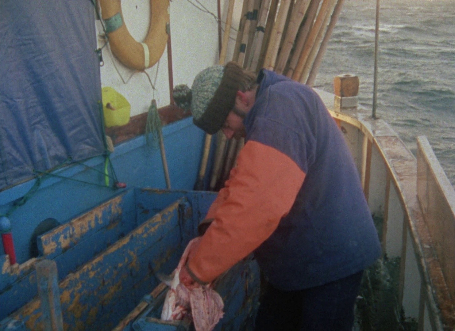 Faro Document 1979 (1979) —  shot,  lighting