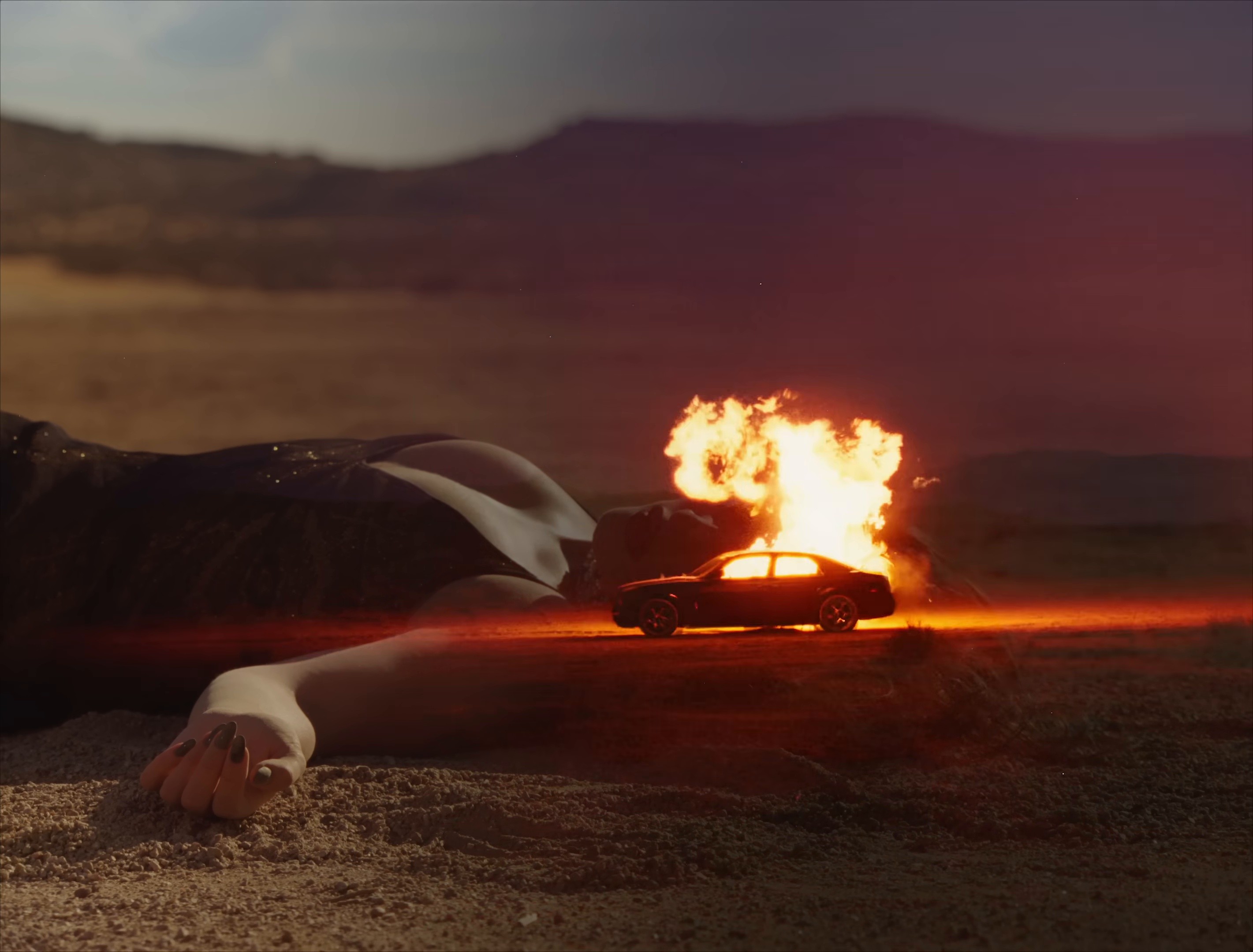 Sauvignon Blanc (2026) —  shot,  lighting