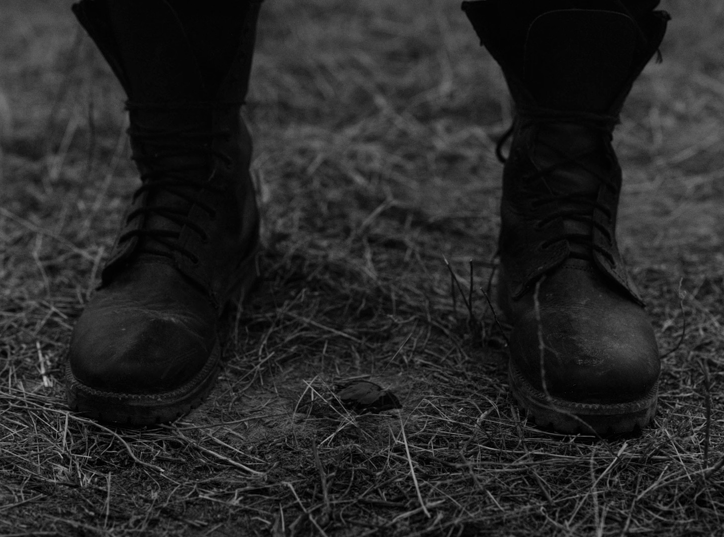 Unknown World (2020) —  shot,  lighting