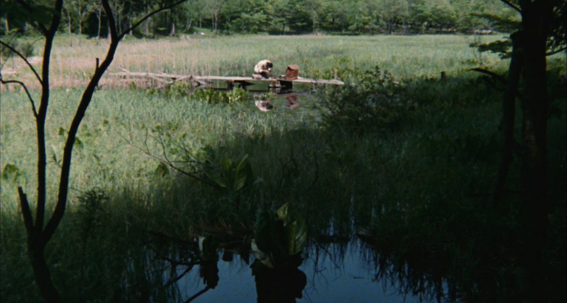 The Yasha Pond (1979) —  shot,  lighting