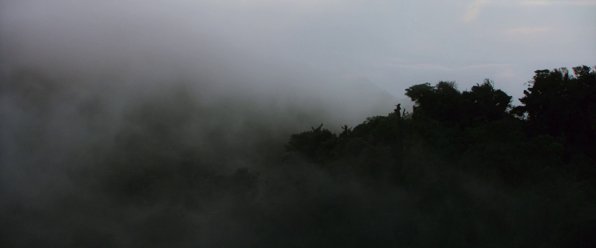 Morbius (2022) —  shot,  lighting