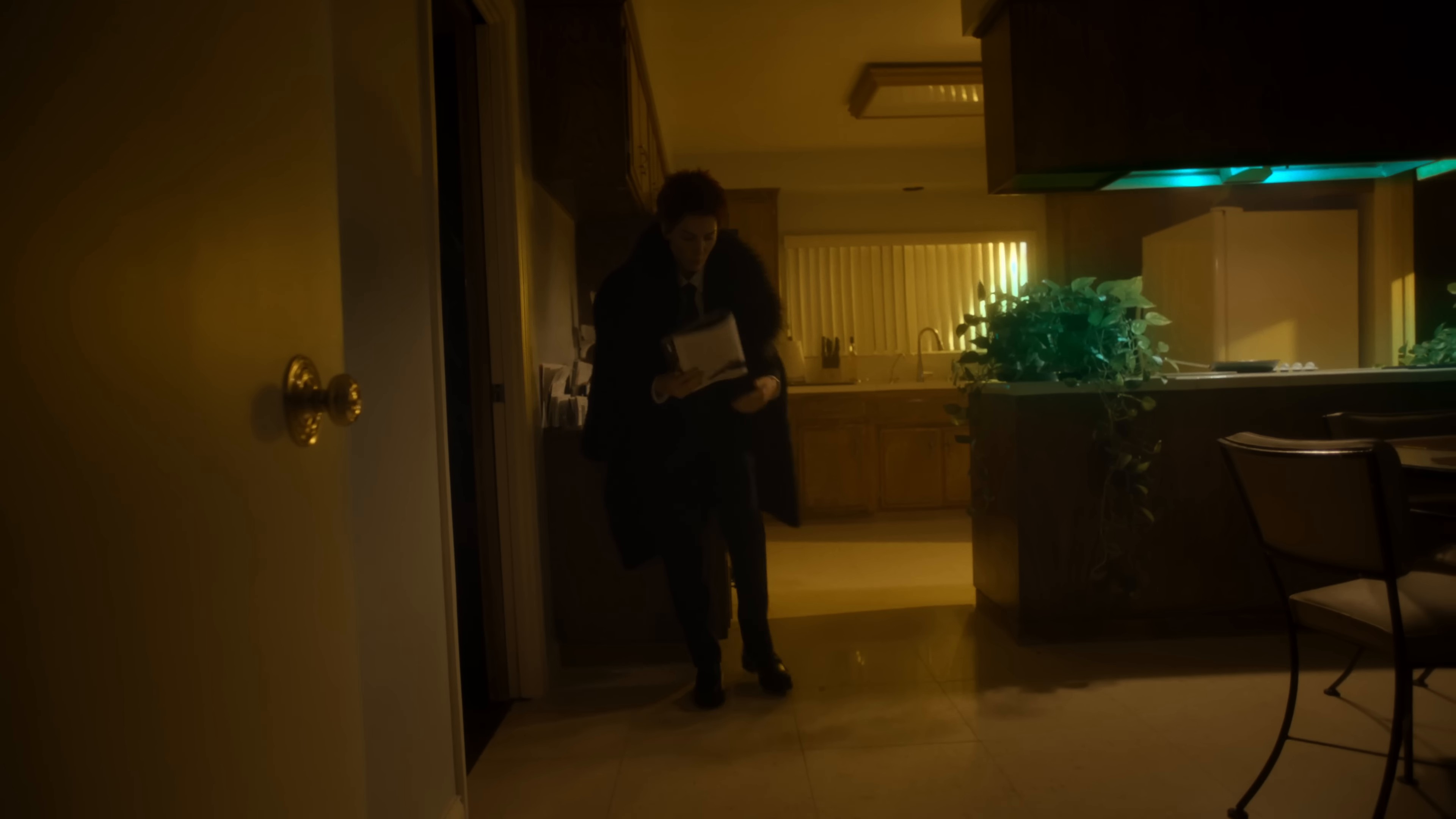 Ego (2024) —  shot,  lighting