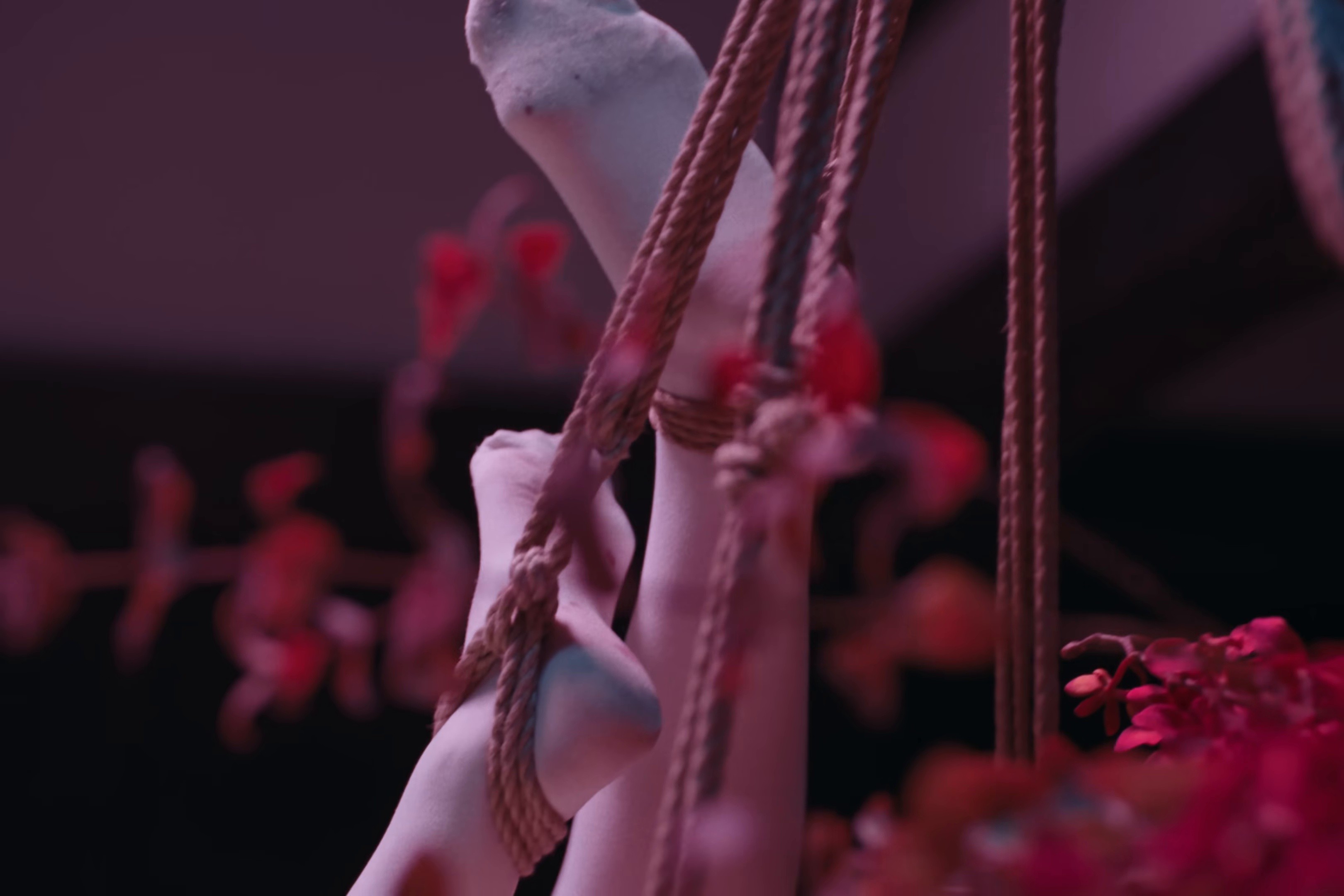 Wax On Wax Off  R-指定, NENE, 鎮座DOPENESS & C.O.S.A. (Prod. RZA) (360 RA) (2026) —  shot,  lighting