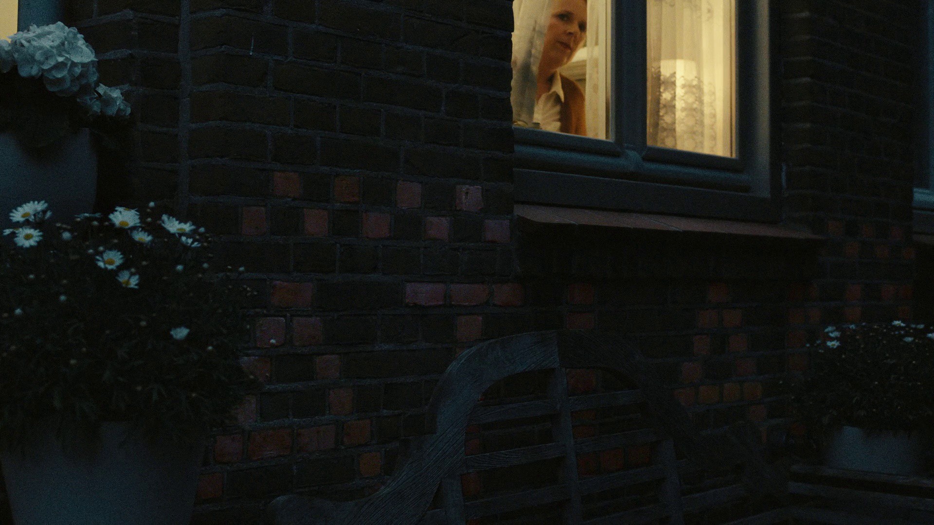 The Old Man and the Tree (2022) —  shot,  lighting