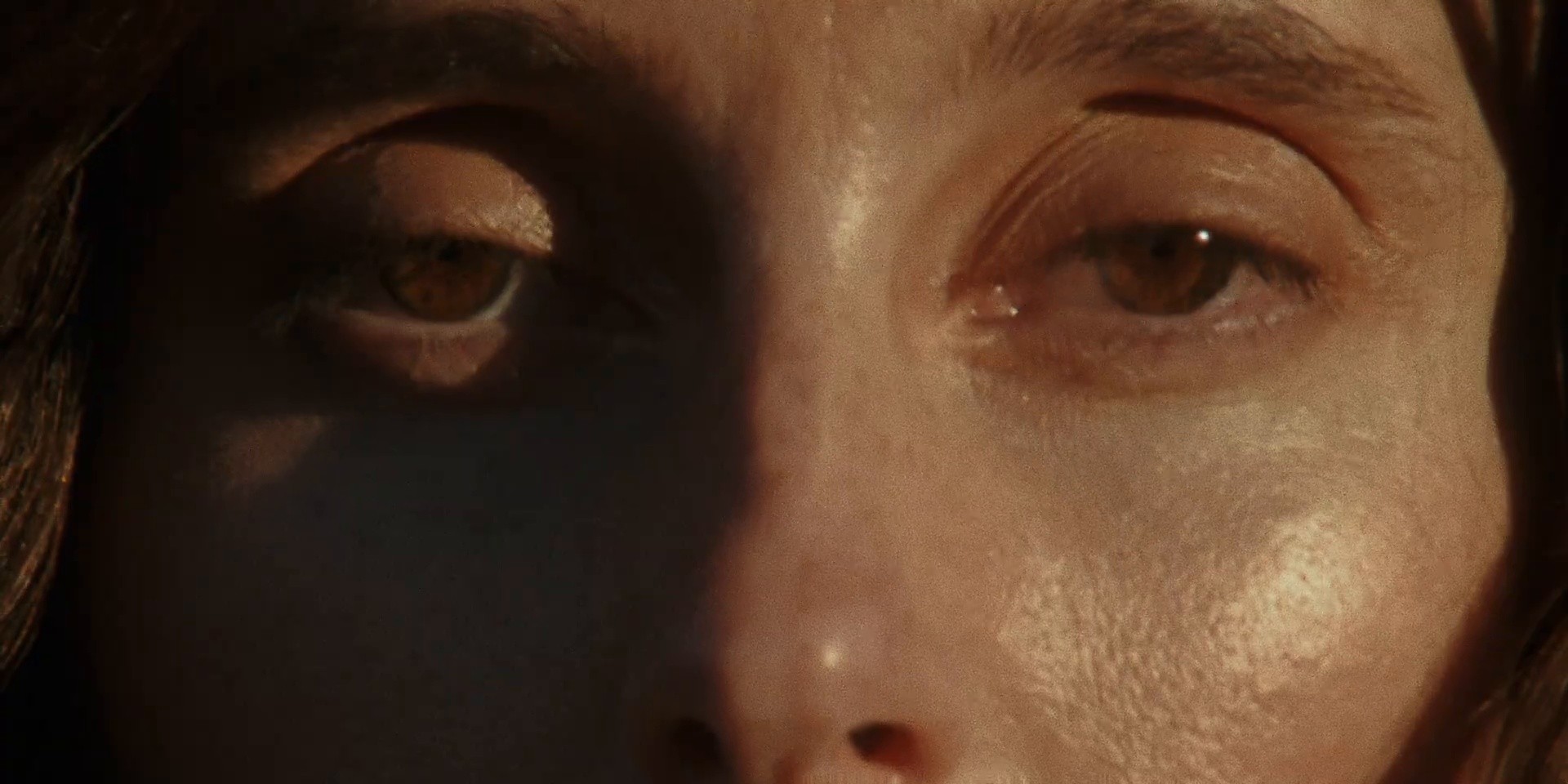 Wild Guess (2025) —  shot,  lighting