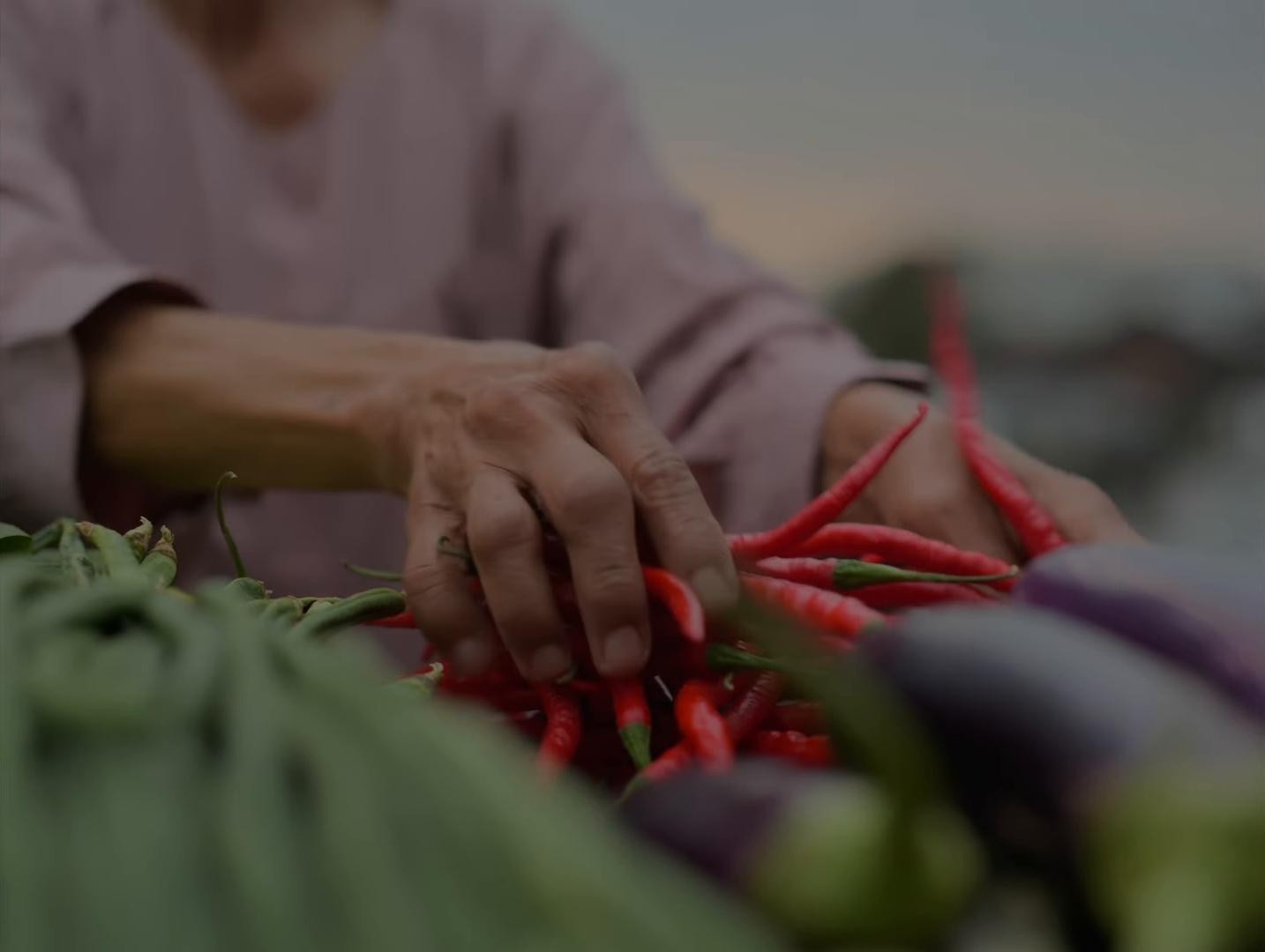 WE ARE STILL TOGETHER  (2025) —  shot,  lighting