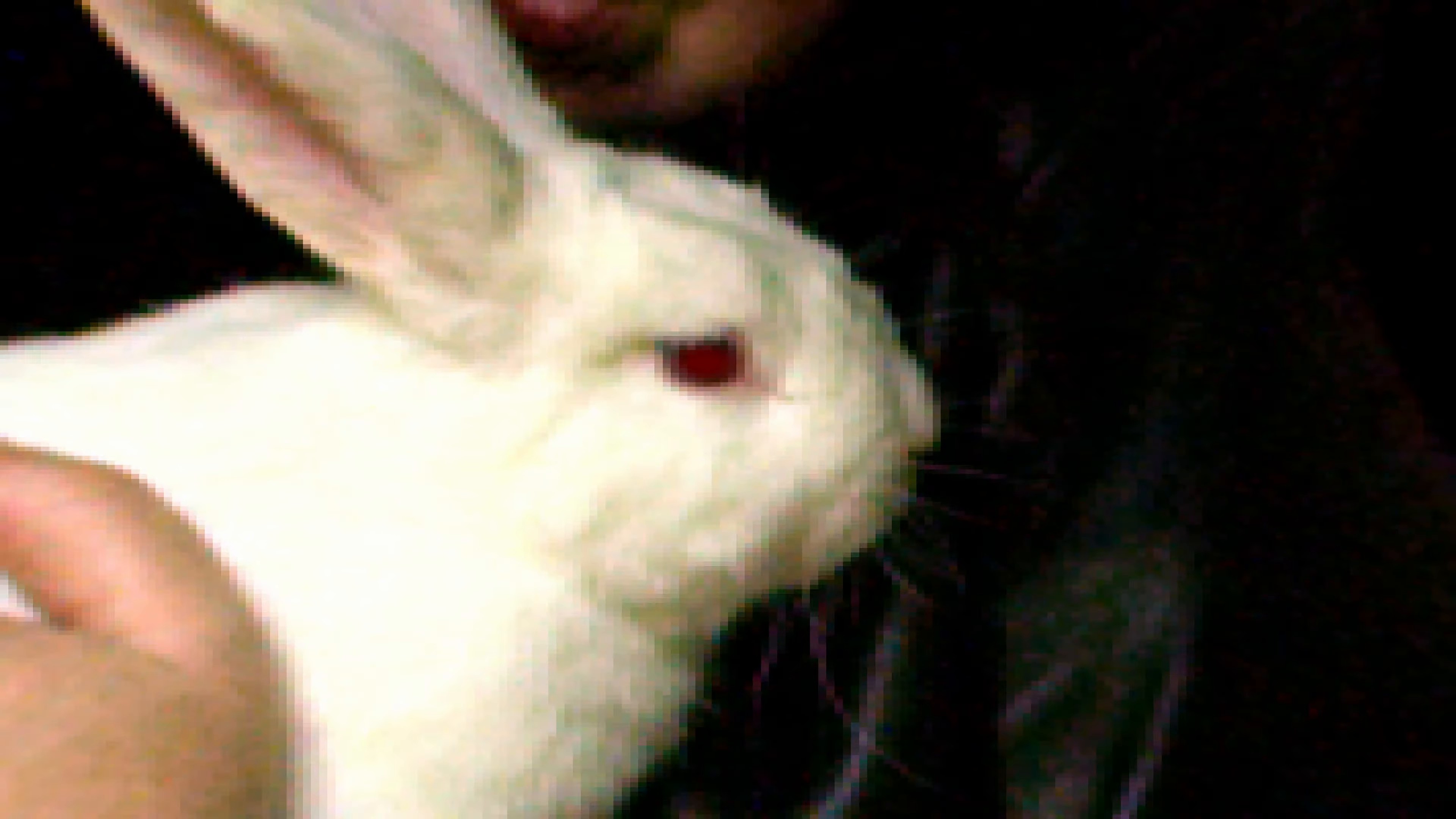 Blink Twice (2024) —  shot,  lighting