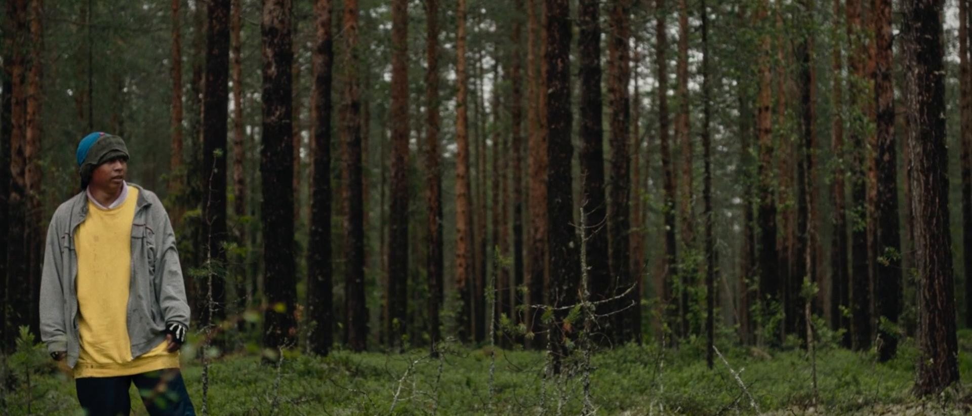 Berry Pickers (2022) —  shot,  lighting