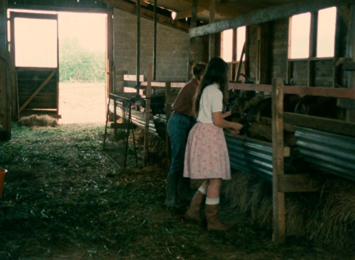 Four Adventures of Reinette and Mirabelle (1987) —  shot,  lighting