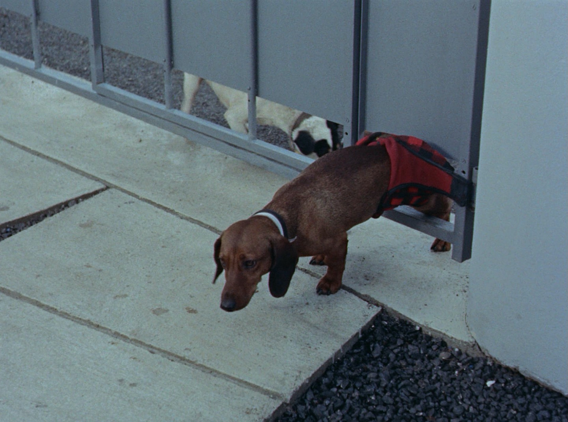 Mon Oncle (1958) —  shot,  lighting