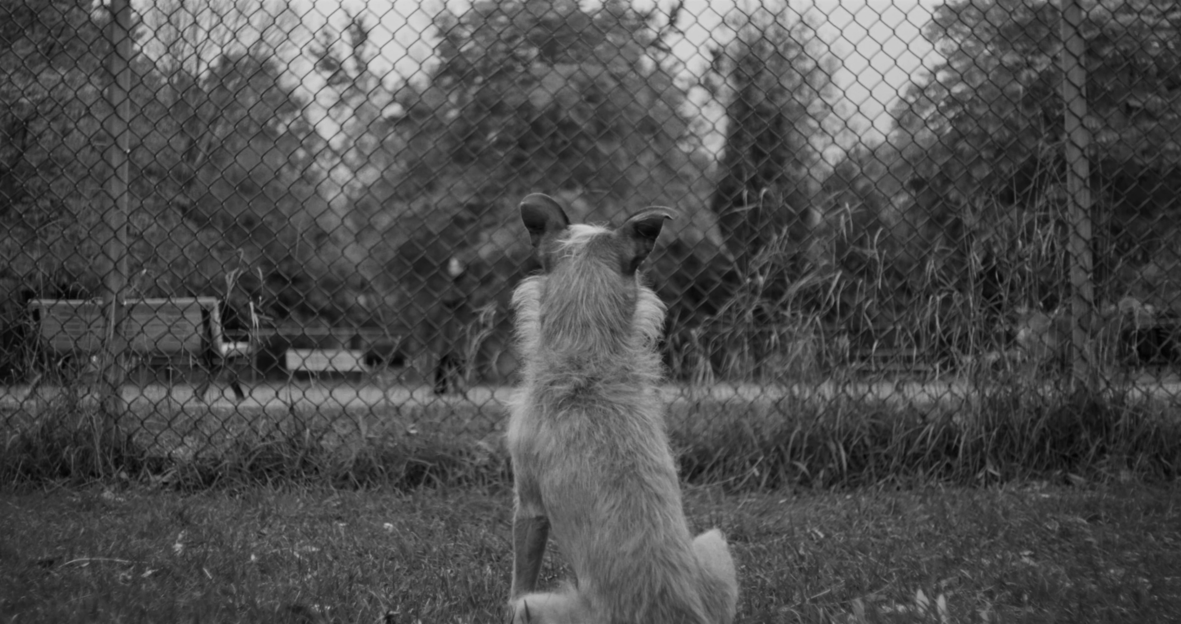 Early Morning Sun (2024) —  shot,  lighting